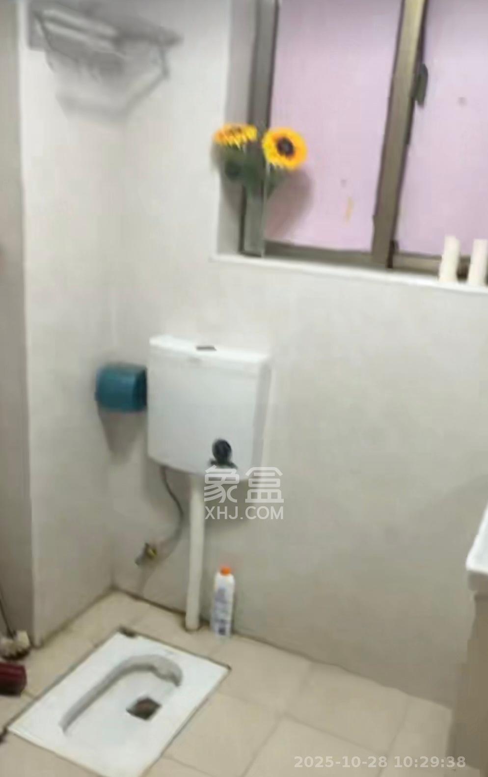 锦湘国际星城二期（锦雅苑）  3室2厅2卫    2500.0元/月室内图