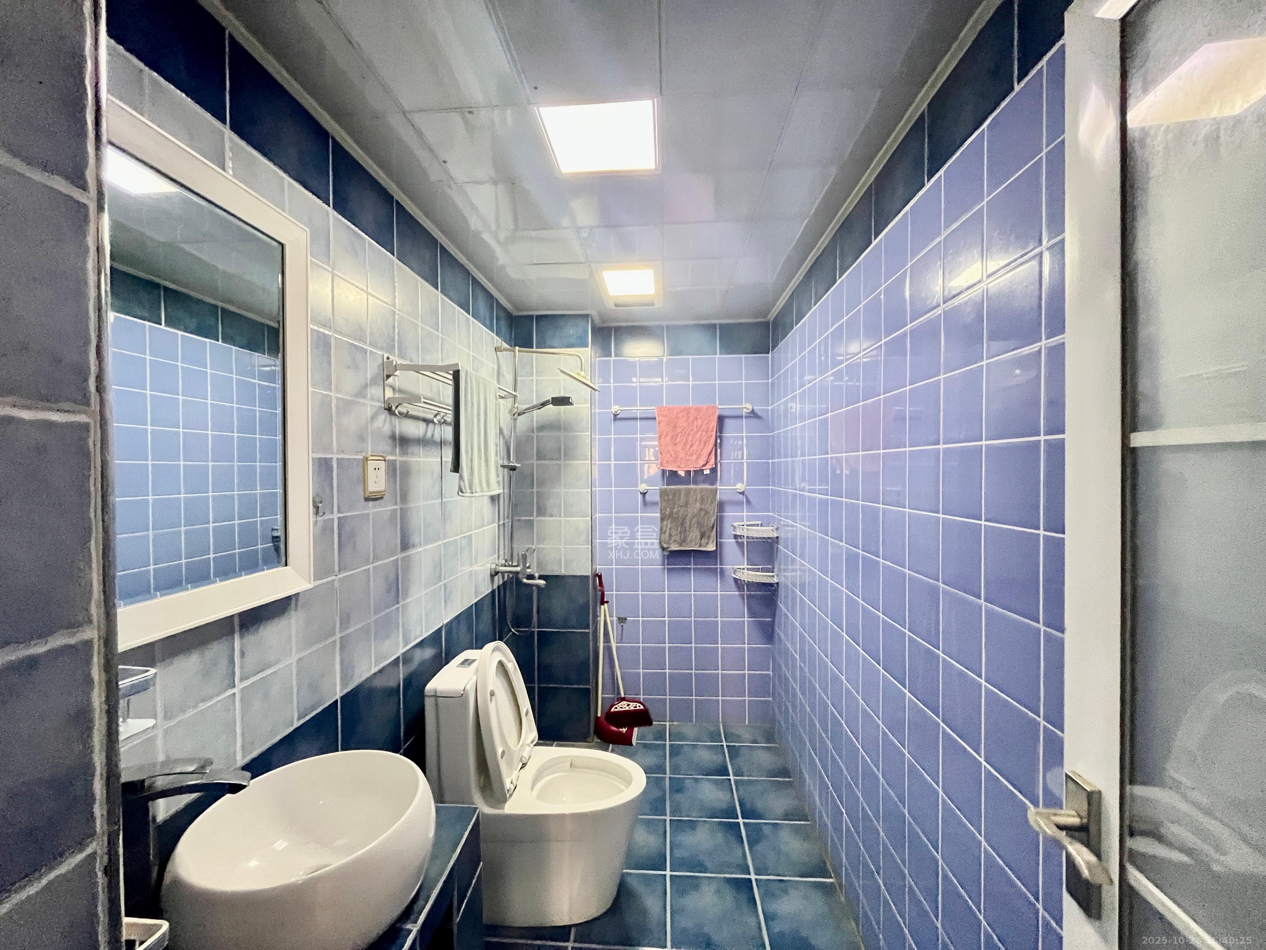 北辰三角洲E3区  1室1厅1卫    2800.0元/月室内图