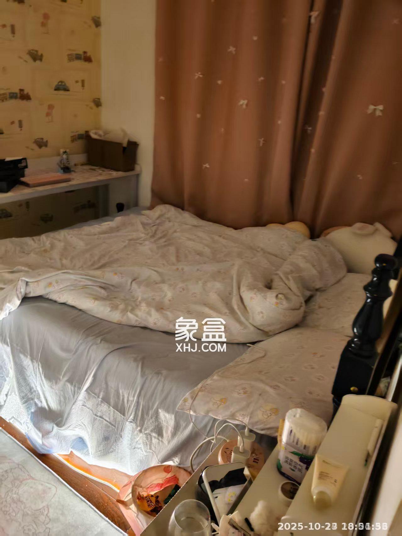 少帅府  1室1厅1卫    1500.0元/月