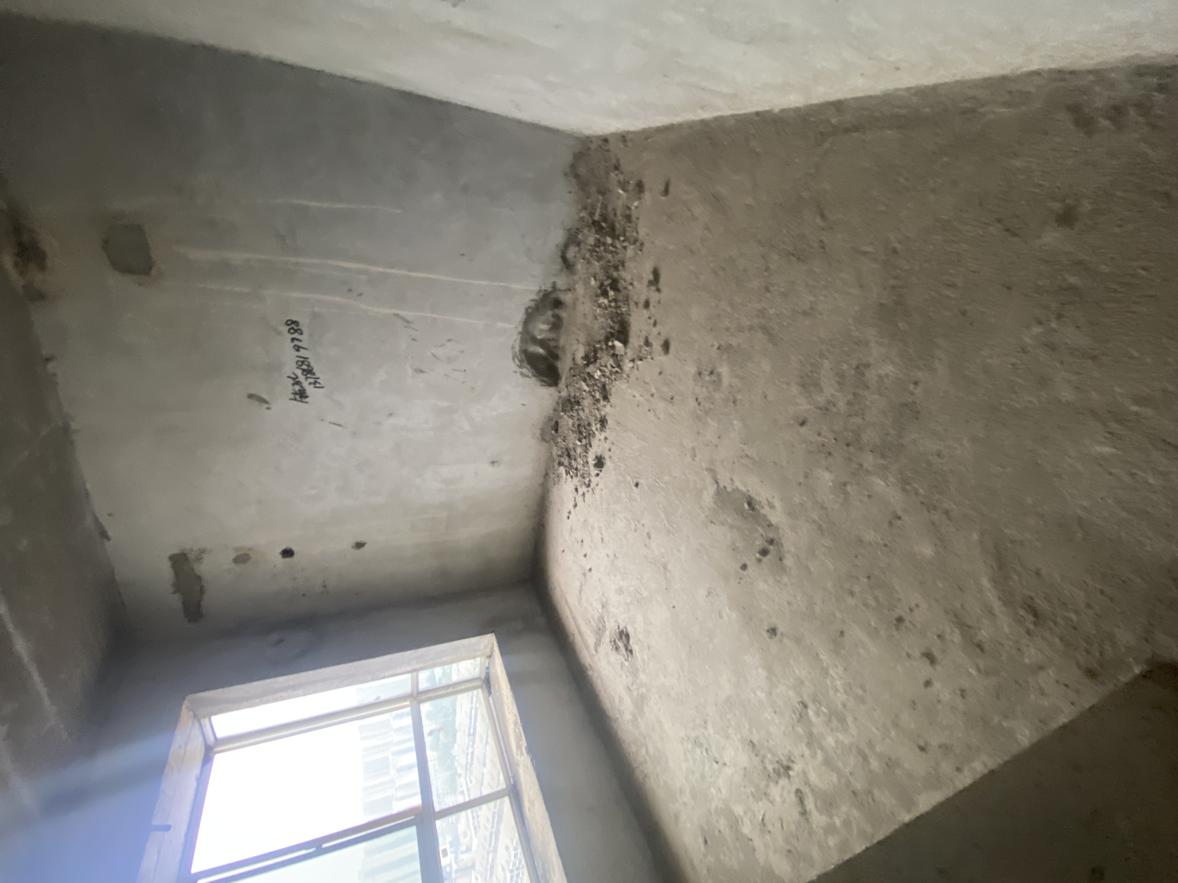 龙凤东宫  3室2厅2卫    72.0万 龙凤东宫  3室2厅2卫    72.0万客厅