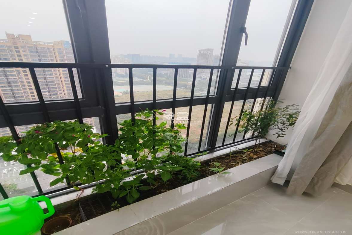 新长海漓湘悦 1室0厅0卫 1500.0元/月 新长海漓湘悦 1室0厅0卫 1500.0元/月室内图