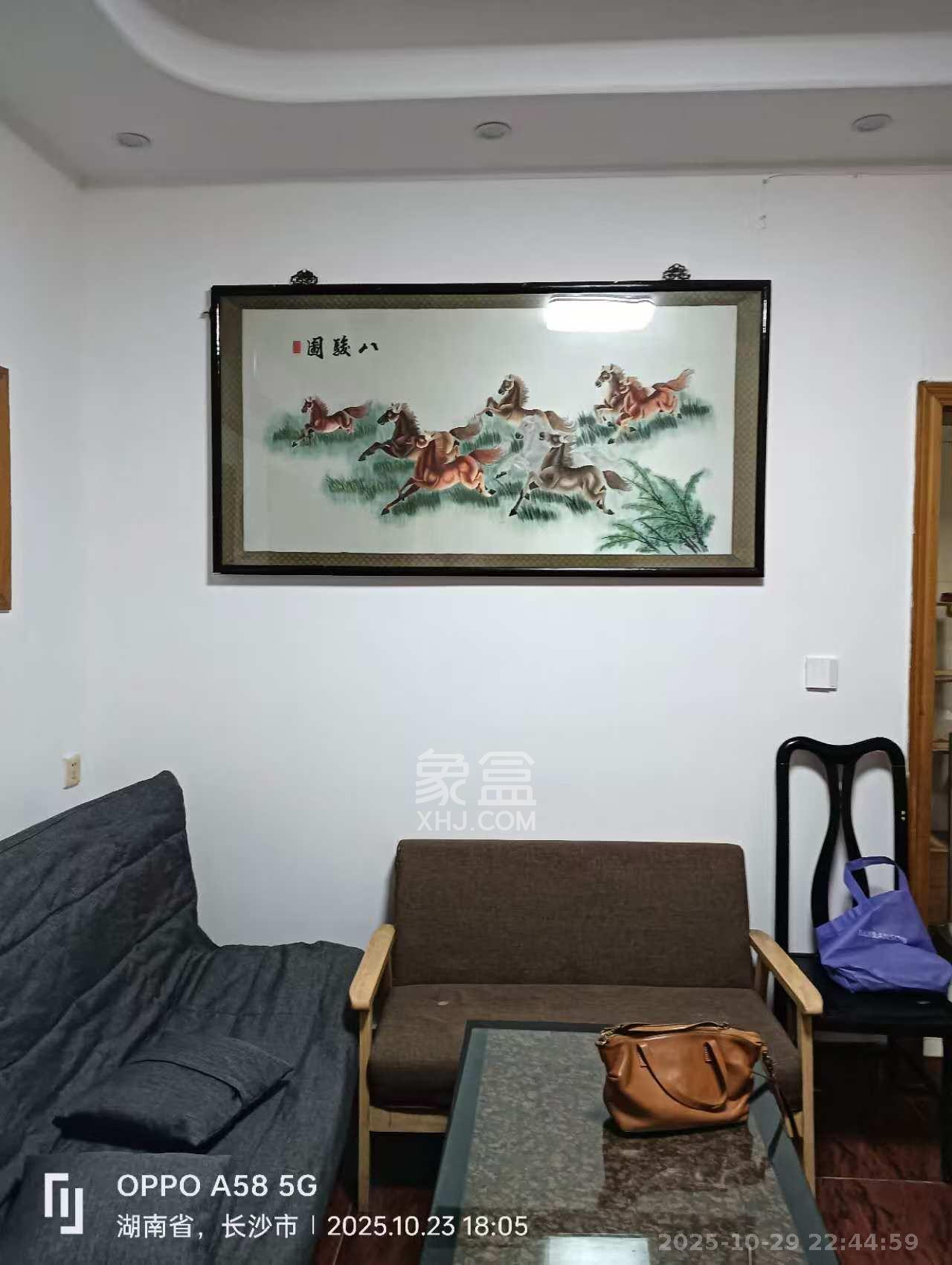 袁家岭省煤炭厅宿舍（芙蓉区省煤炭局小区）  2室2厅1卫    1800.0元/月