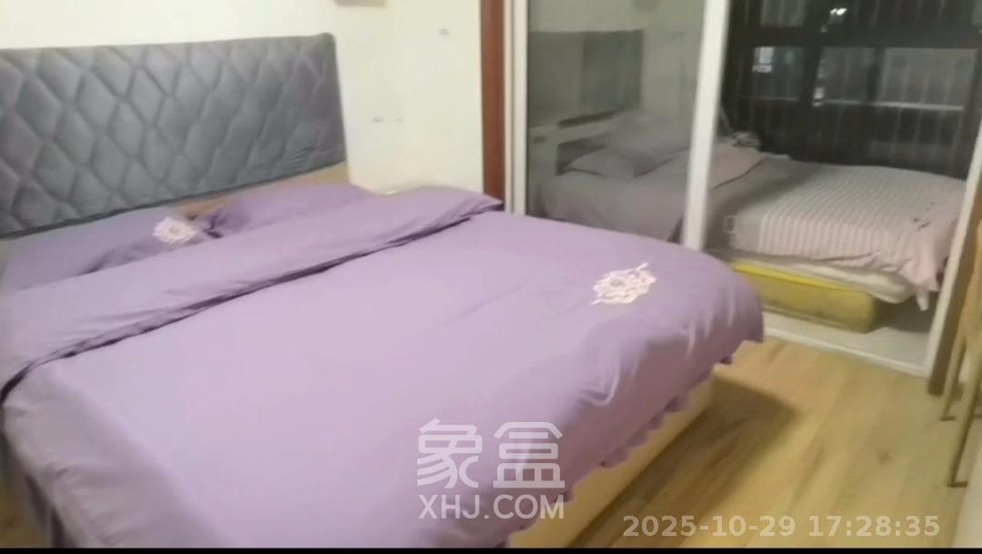 鑫科明珠  3室2厅2卫    2500.0元/月室内图