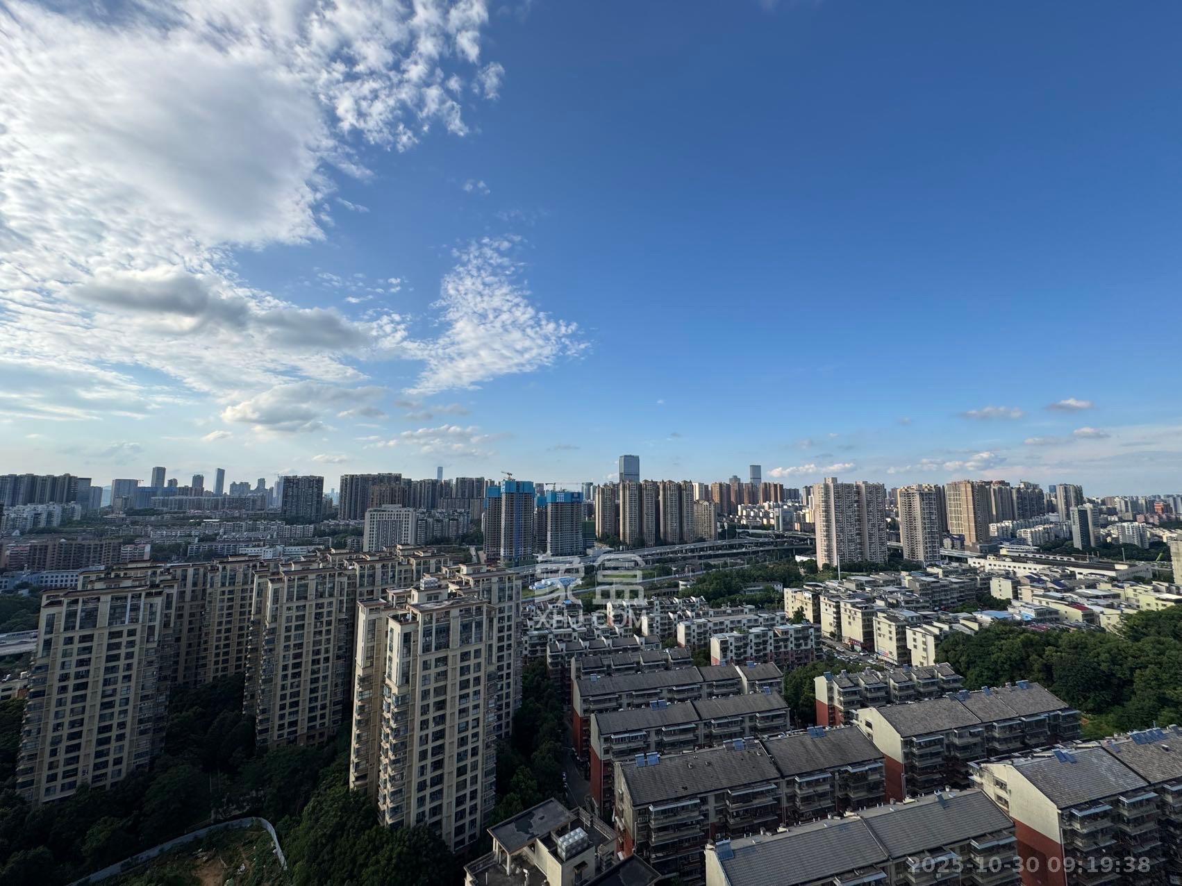 博林金谷  1室2厅1卫    3000.0元/月室内图