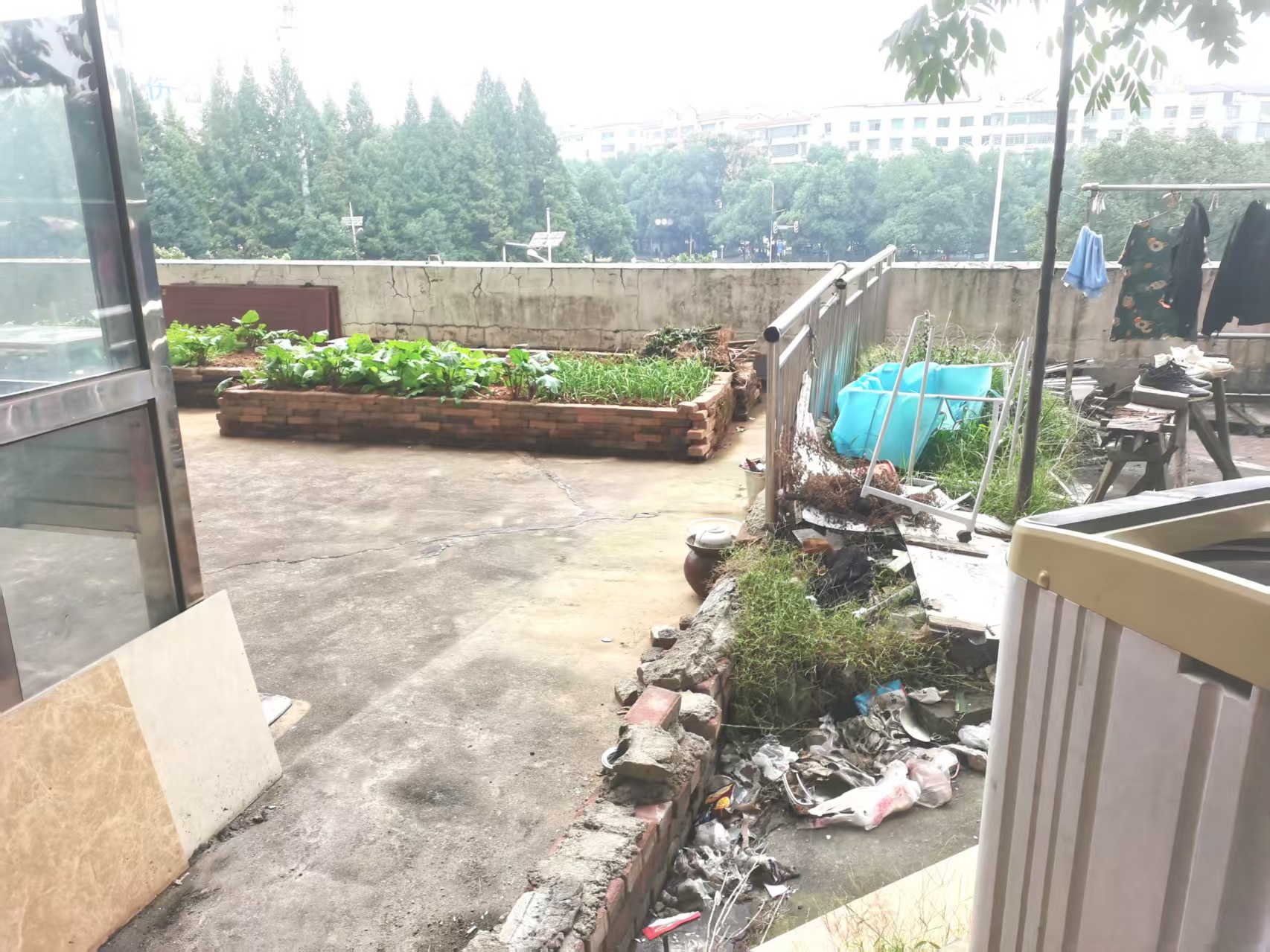 金鹿花园  4室1厅3卫    1500.0元/月室内图