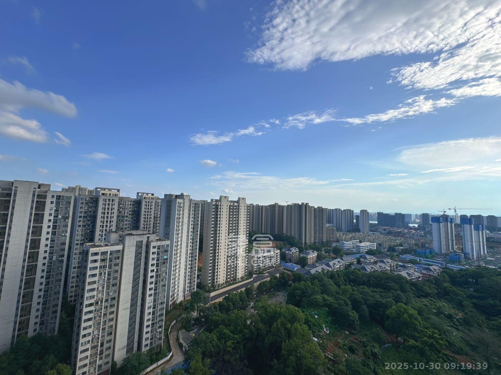 博林金谷  1室2厅1卫    3000.0元/月室内图