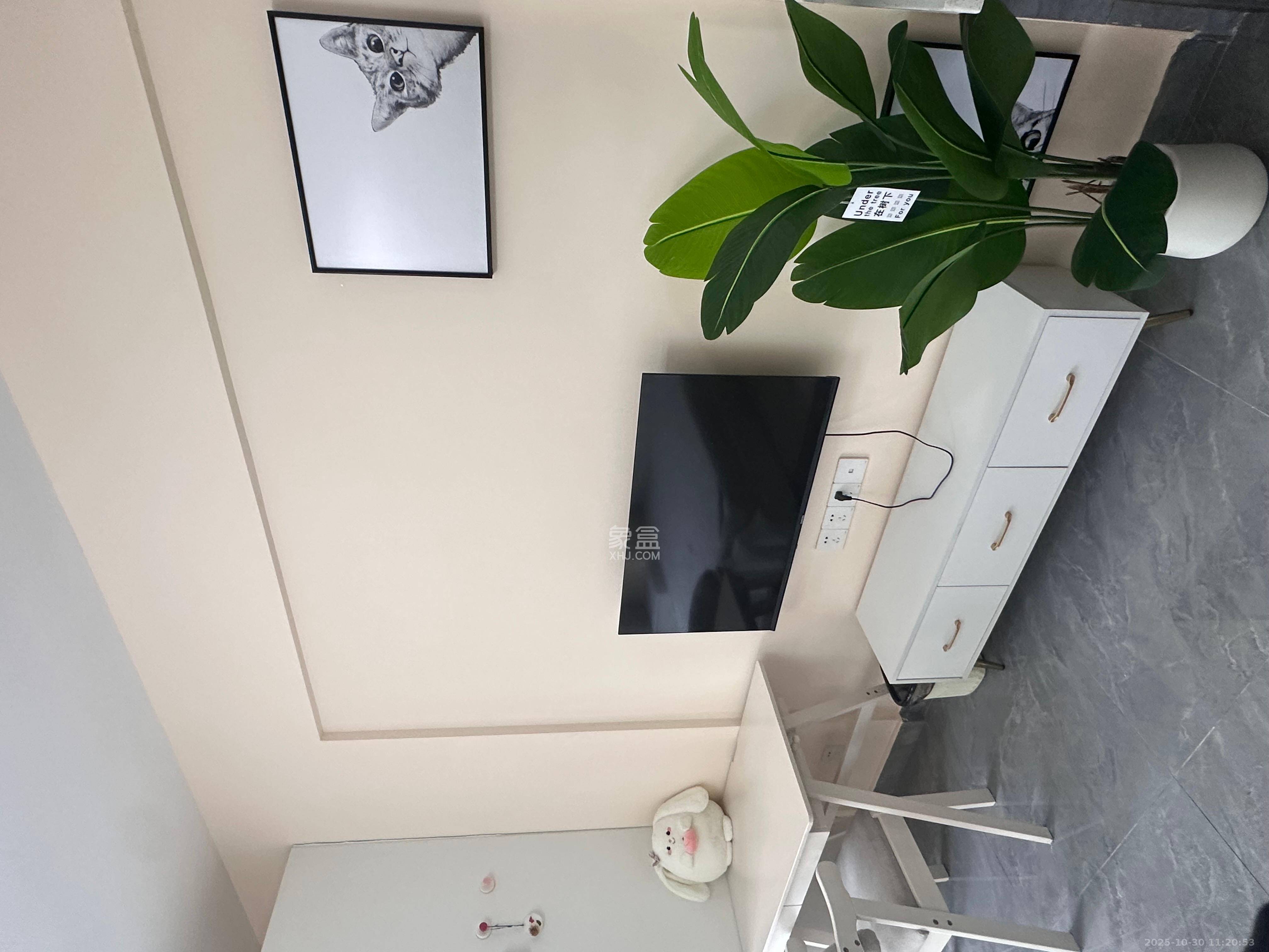 潇湘奥林匹克花园  1室1厅1卫    1600.0元/月室内图