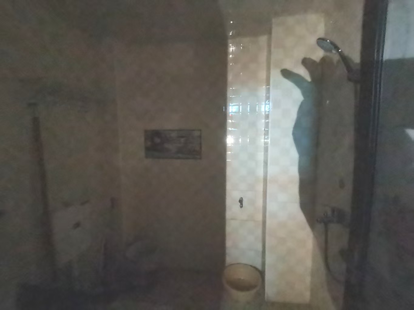 金鹿花园  4室1厅3卫    1500.0元/月室内图