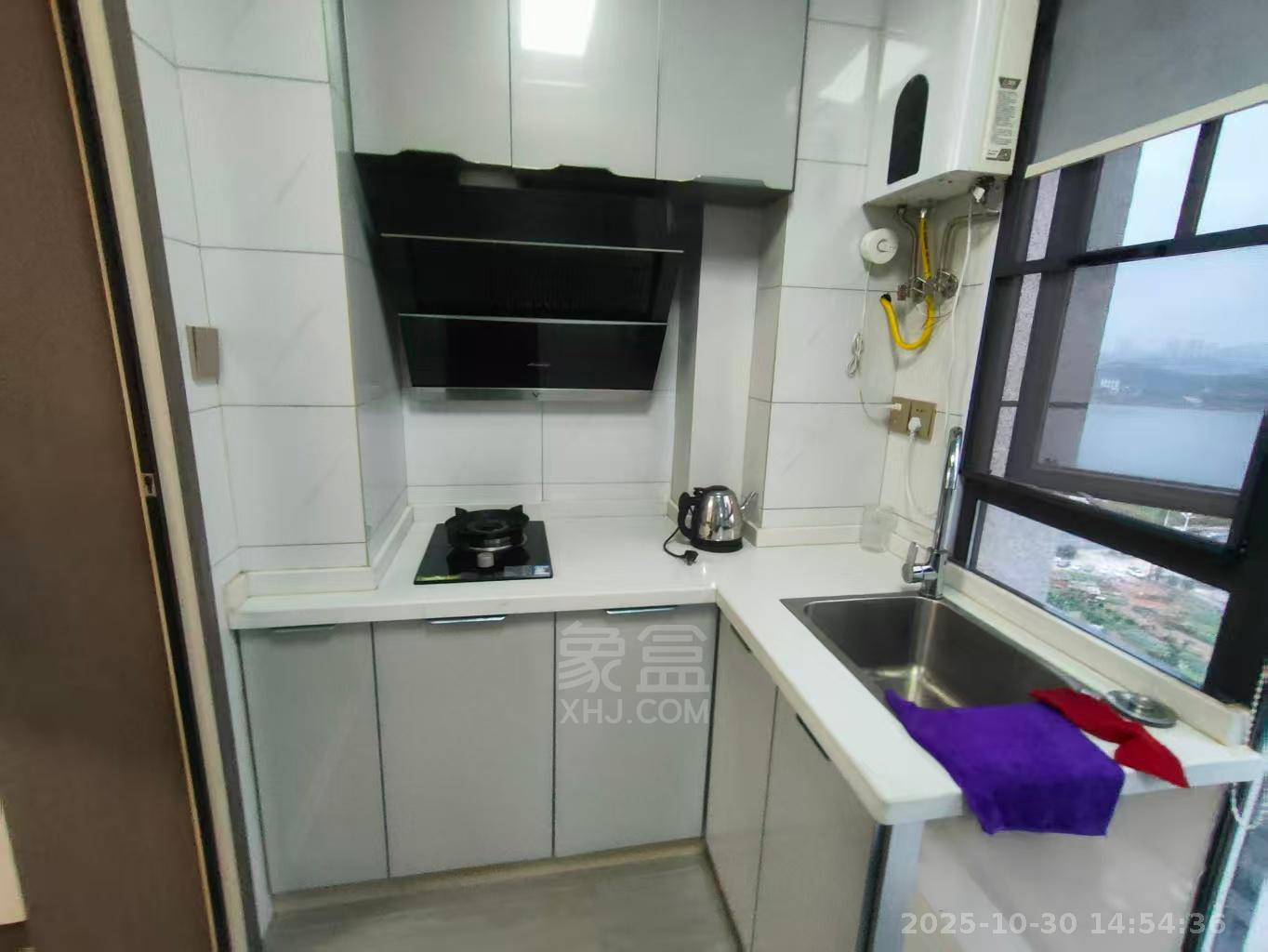 中泰财富湘江  1室1厅1卫    1500.0元/月