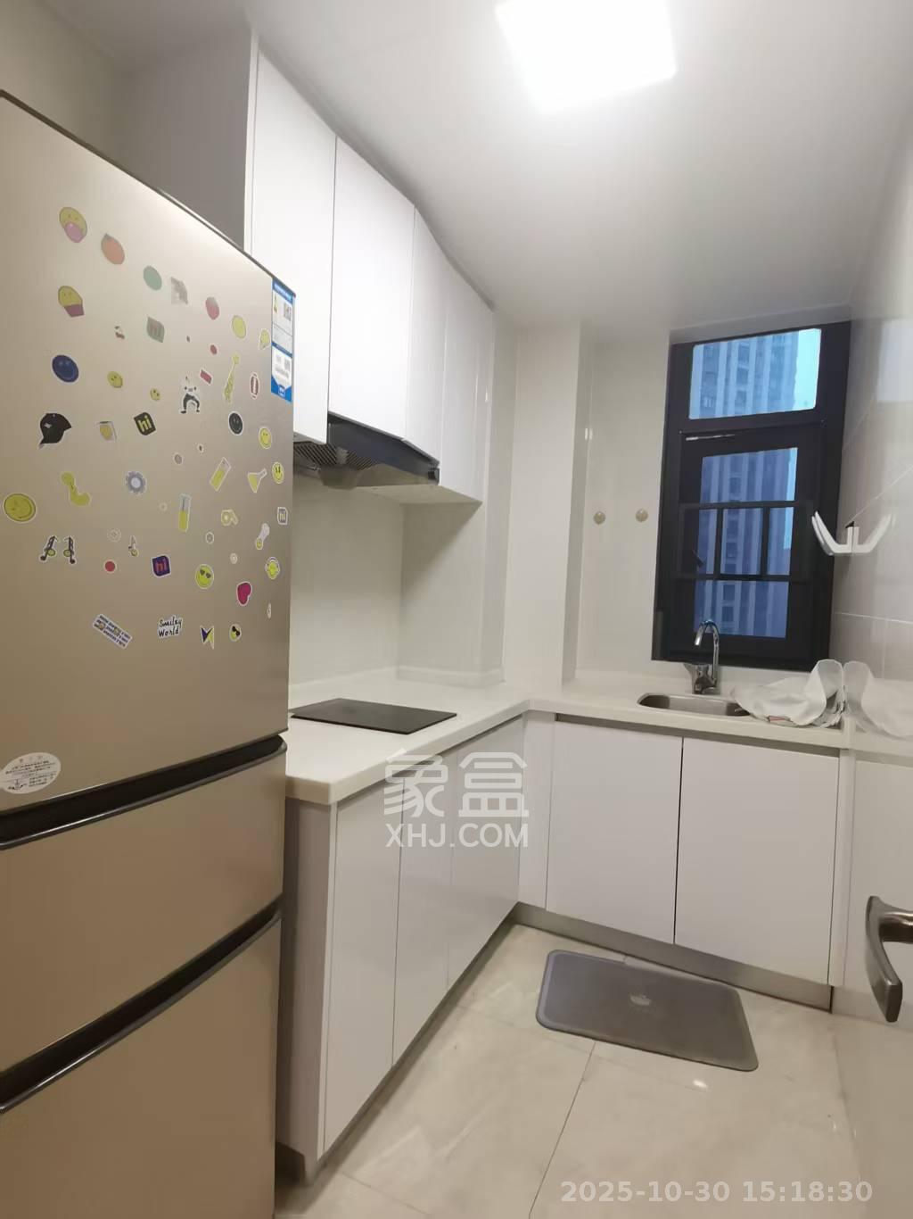 中海梅溪湖壹号  1室1厅1卫    2380.0元/月室内图