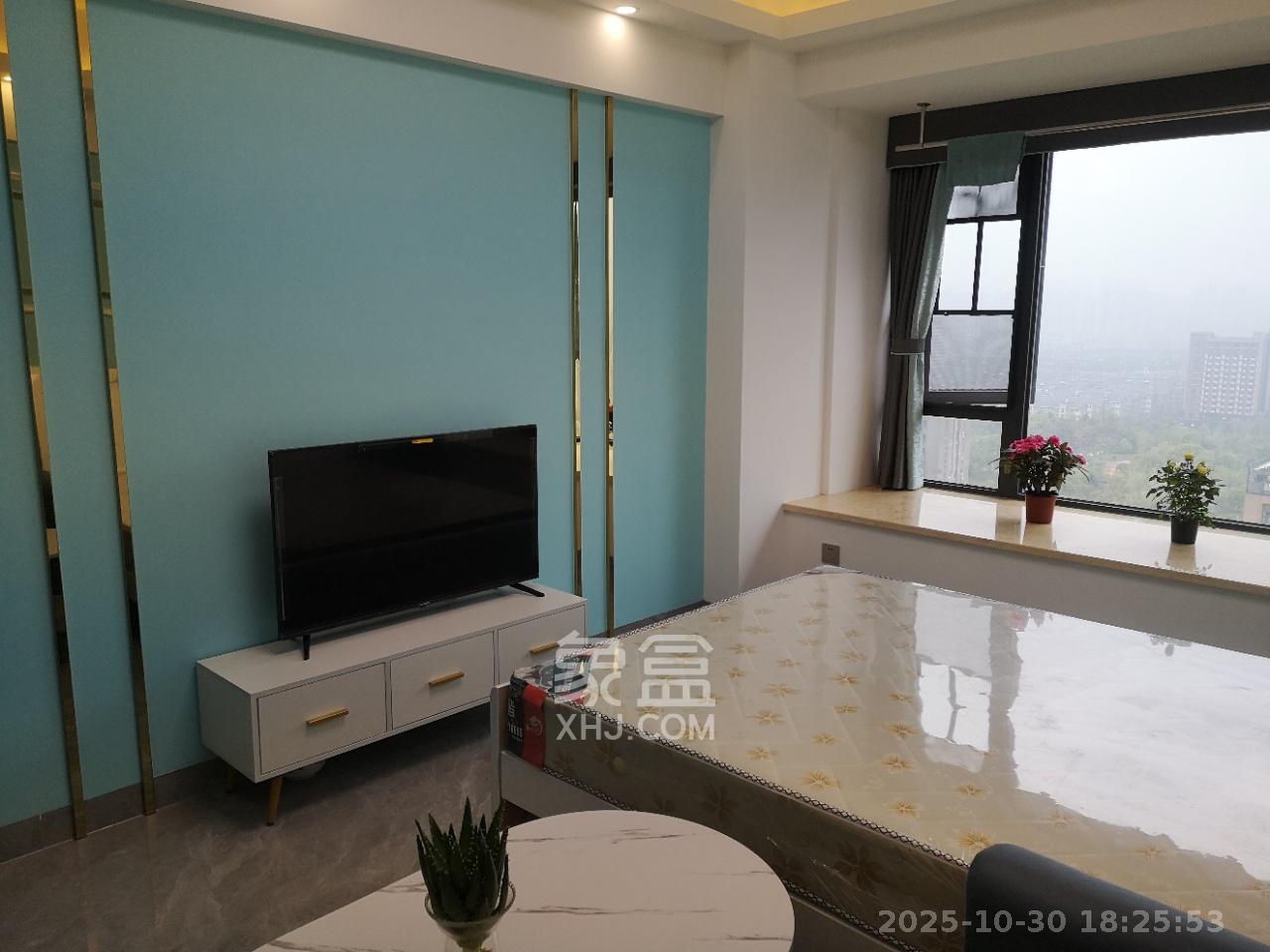 龙湖湘江星座（祺鑫星座公寓）  1室1厅1卫    1650.0元/月