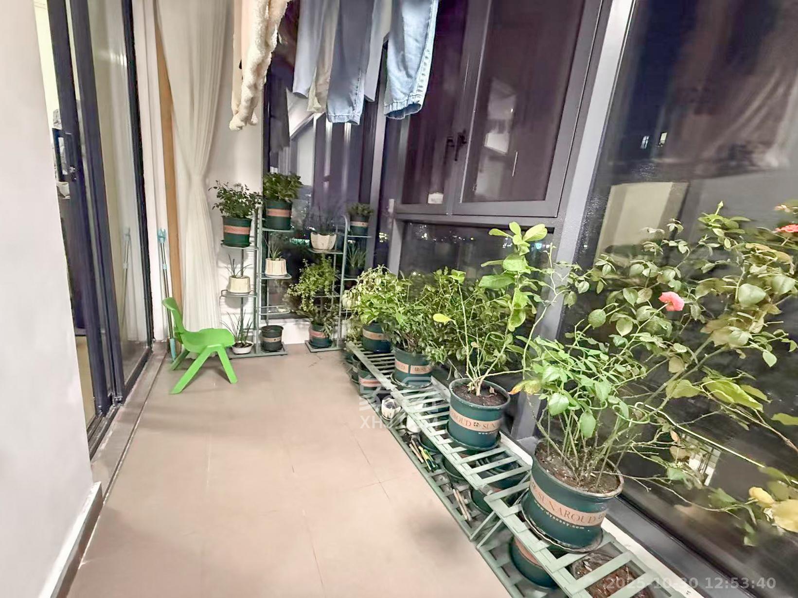 旭辉铂宸府  3室2厅2卫    115.0万阳台