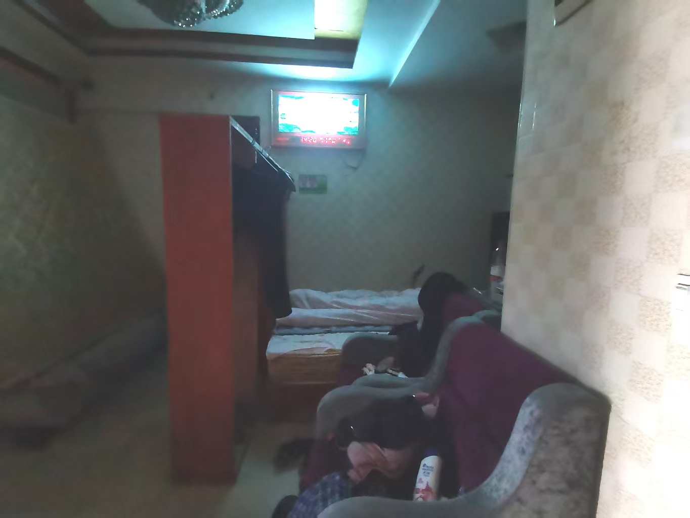 金鹿花园  4室1厅3卫    1500.0元/月