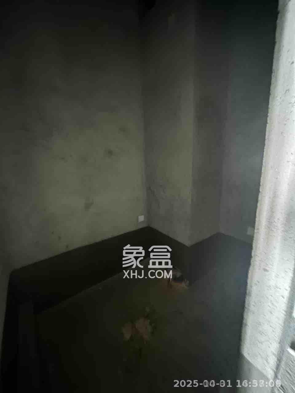 碧桂园翘楚棠 1室1厅1卫 1000.0元/月 碧桂园翘楚棠 1室1厅1卫 1000.0元/月室内图