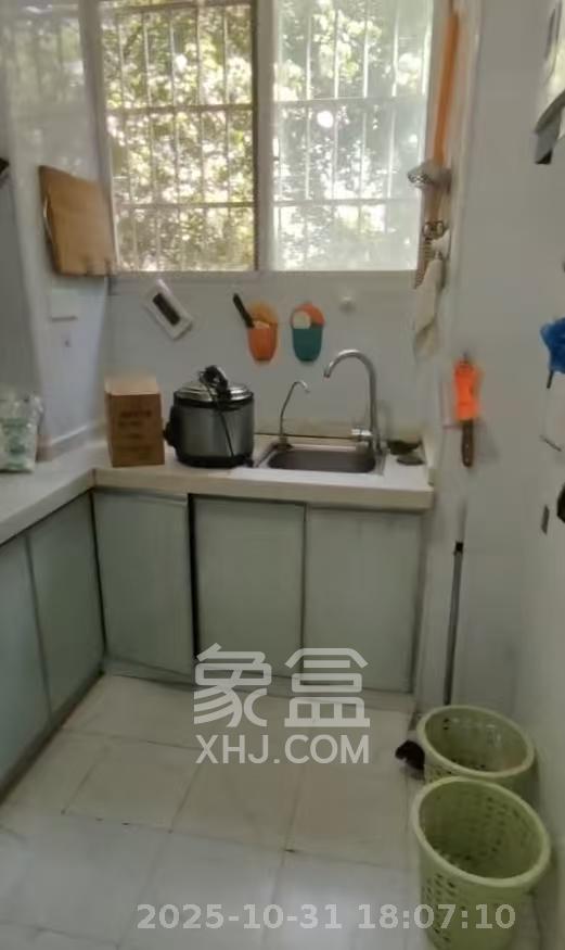 解放四村石子冲  2室1厅1卫    1700.0元/月室内图