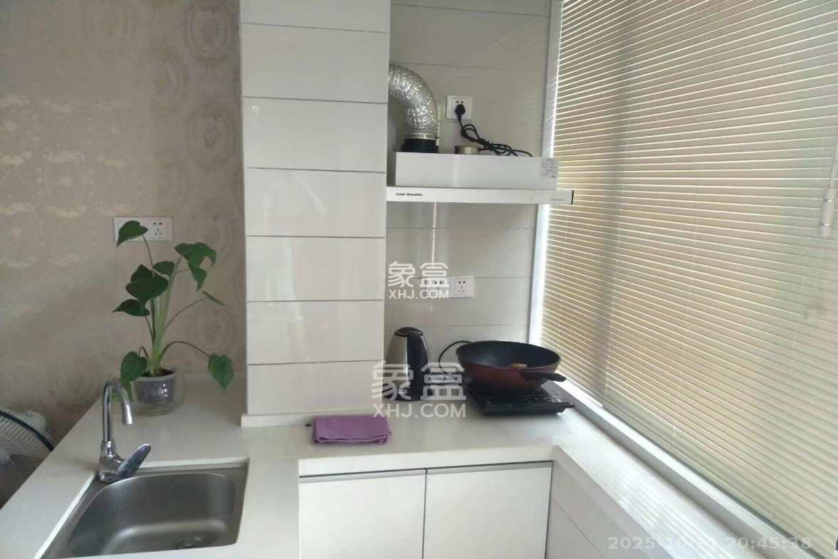 佐佑大厦 1室1厅1卫 1150.0元/月 佐佑大厦 1室1厅1卫 1150.0元/月室内图