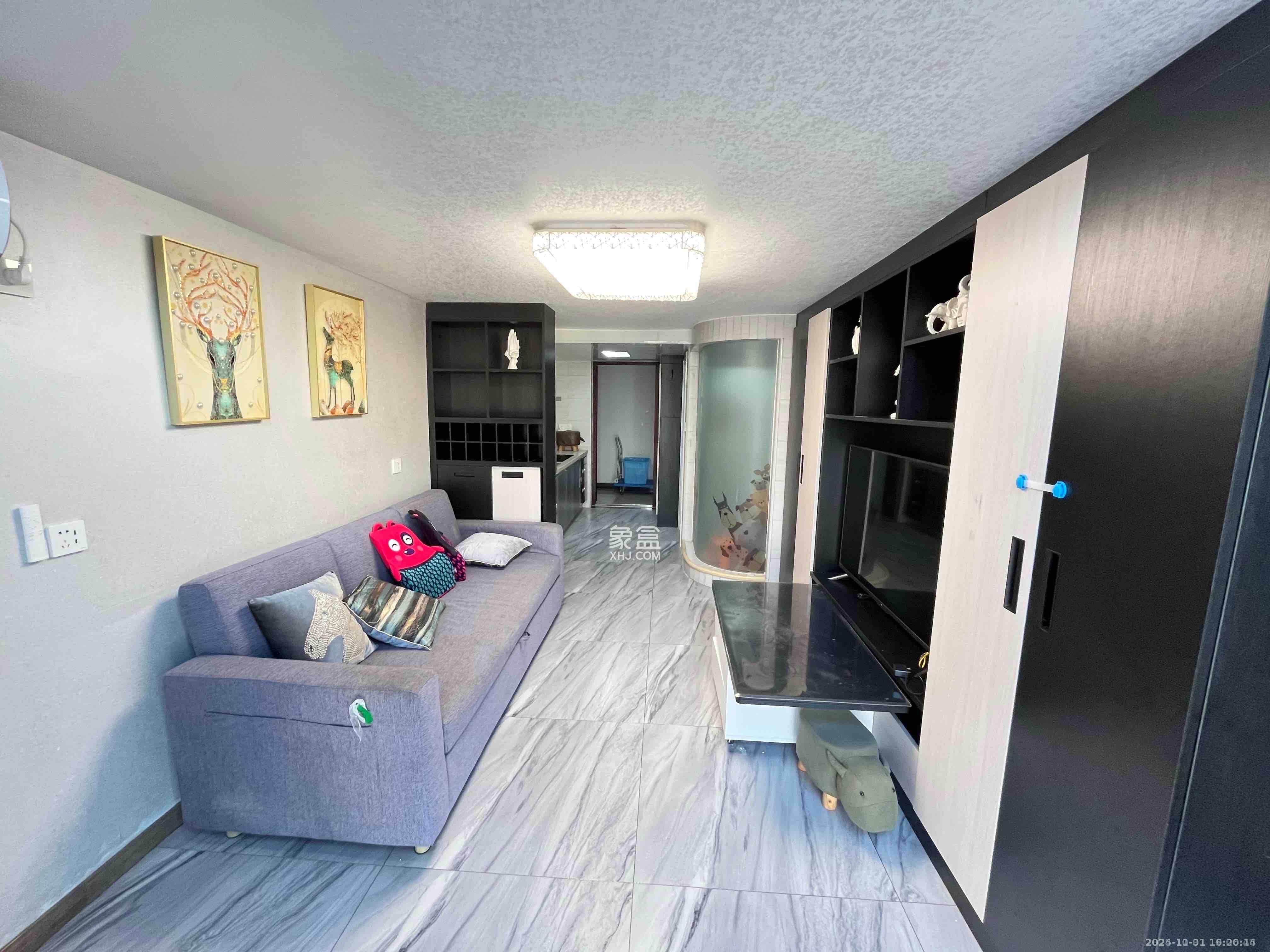 洋湖时代  1室1厅1卫    1900.0元/月