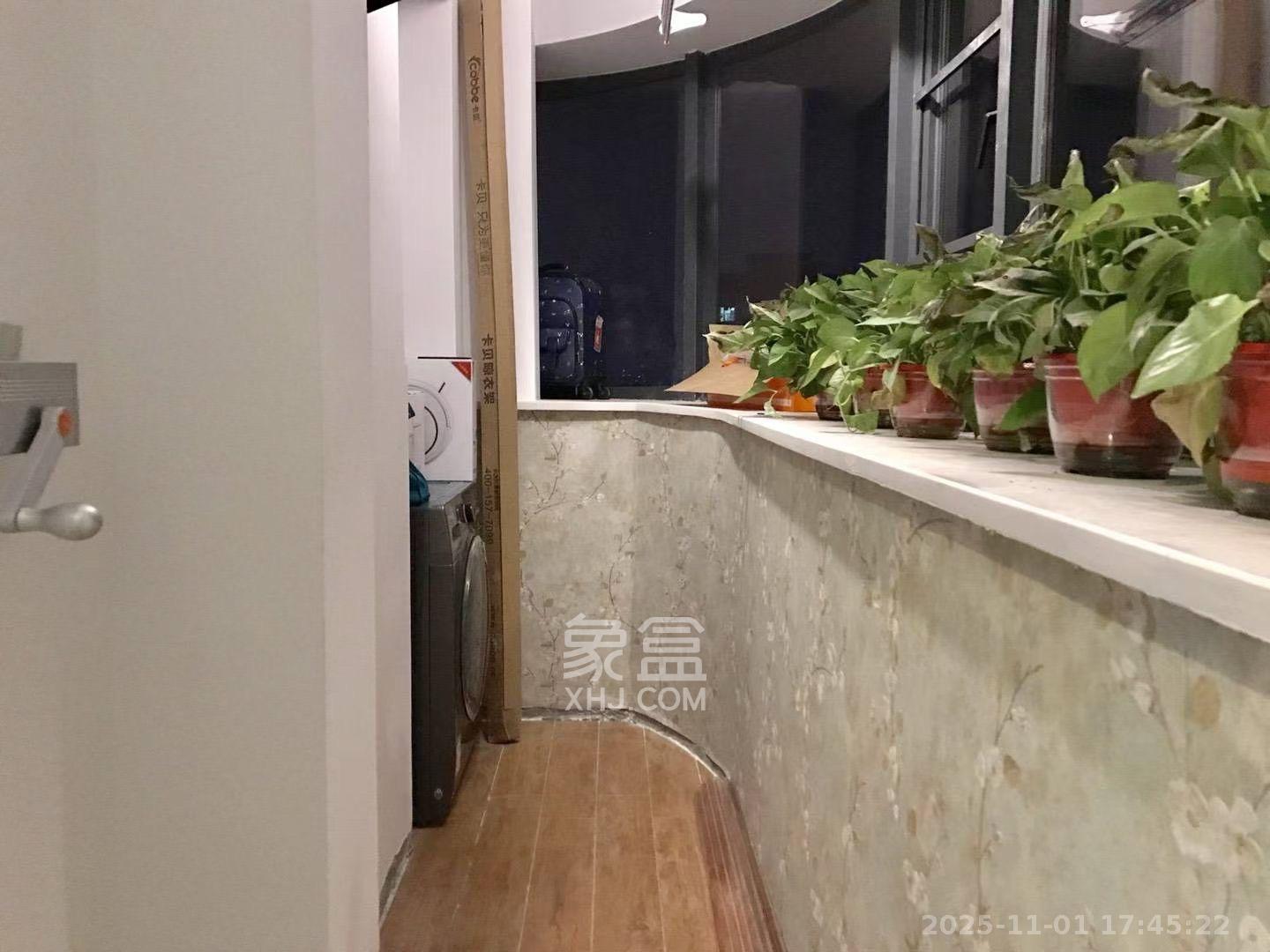 达美美立方  1室1厅1卫    2600.0元/月室内图