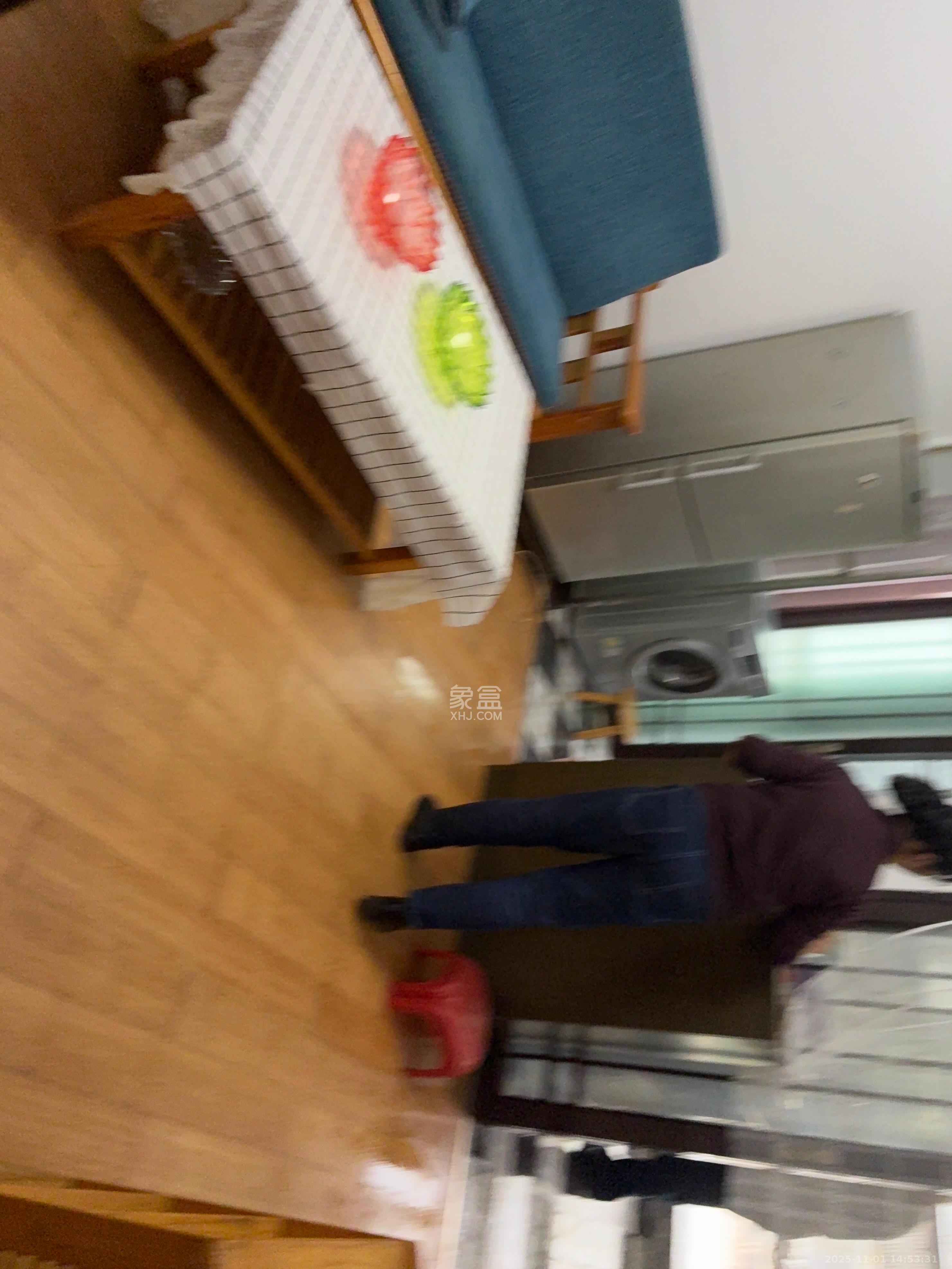 红花坡社区 2室1厅1卫 1500.0元/月 红花坡社区 2室1厅1卫 1500.0元/月室内图