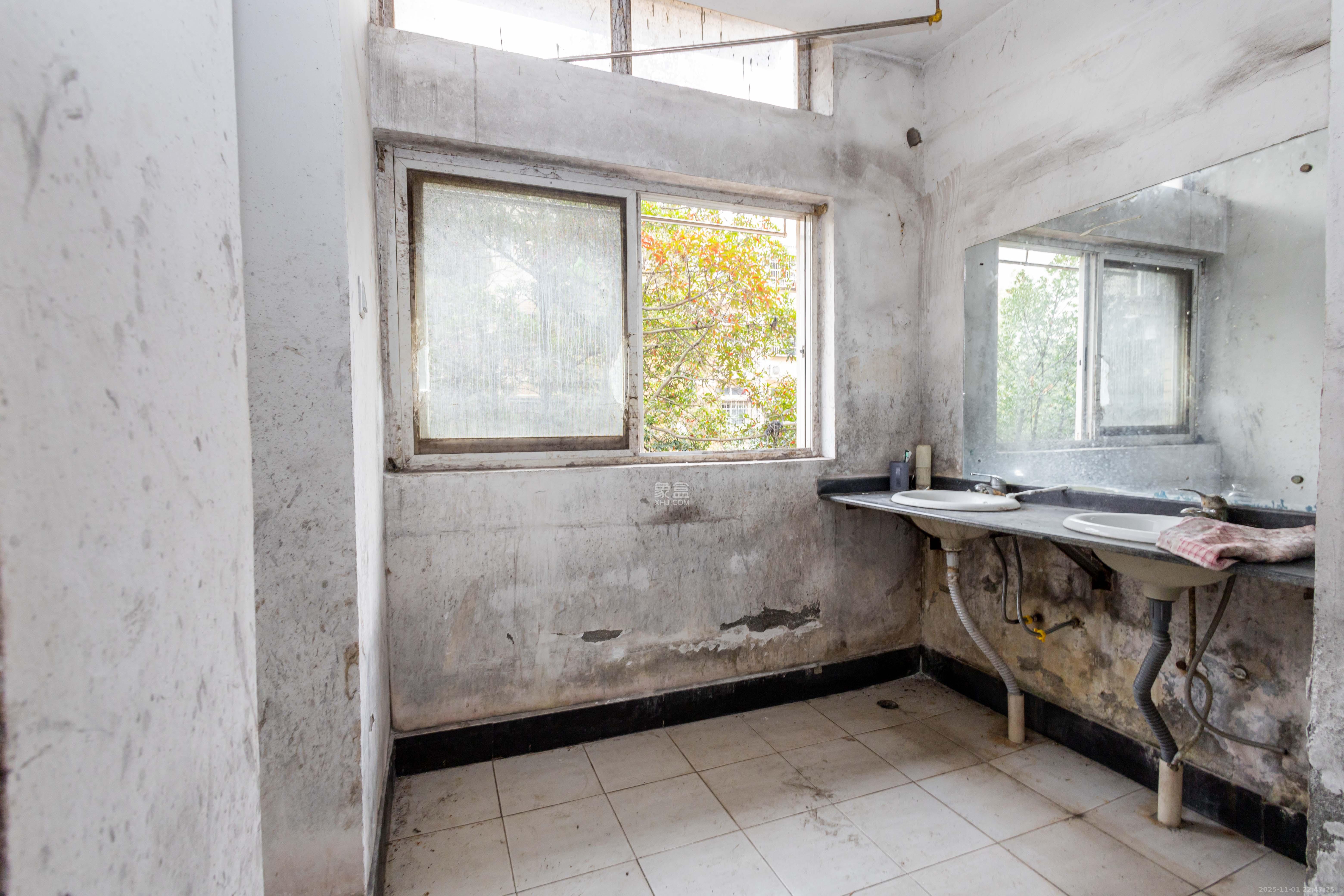 创业乐园  1室1厅1卫    11.8万厨房