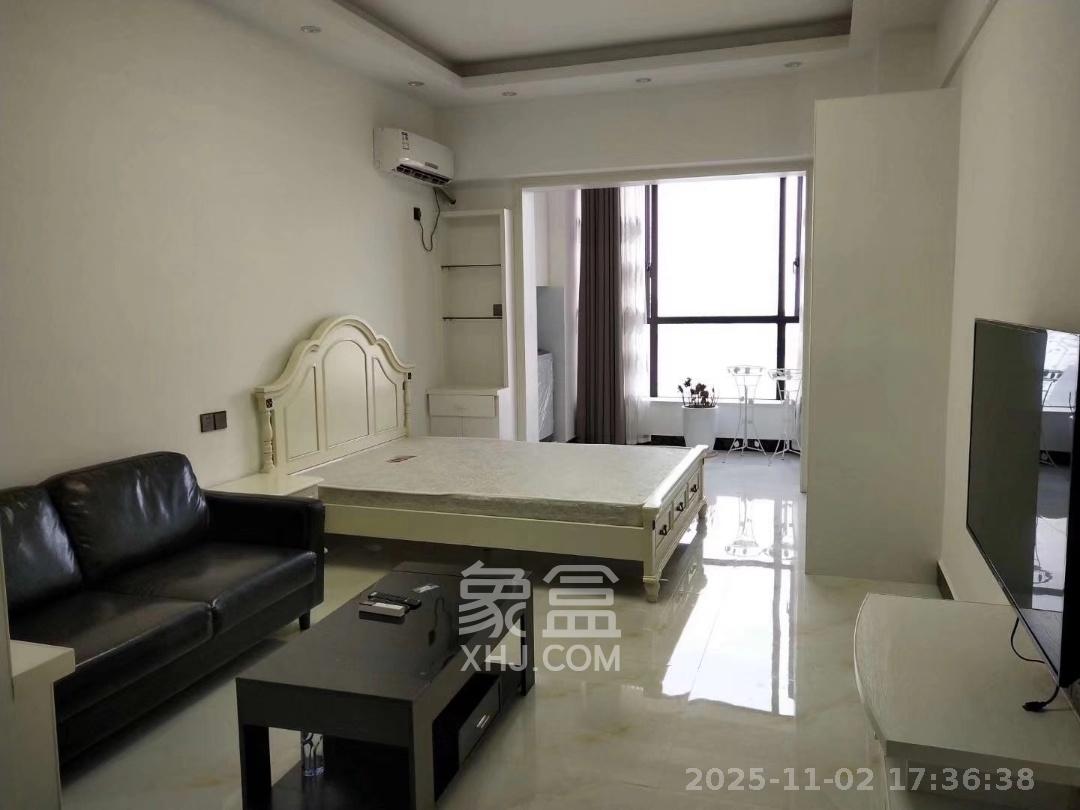 梅溪国际公寓（步步高新天地）  1室1厅1卫    1500.0元/月室内图