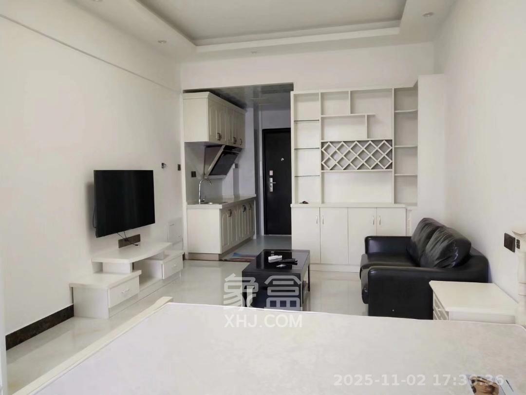 梅溪国际公寓(步步高新天地) 1室1厅1卫 1500.0元/月 梅溪国际公寓(步步高新天地) 1室1厅1卫 1500.0元/月室内图