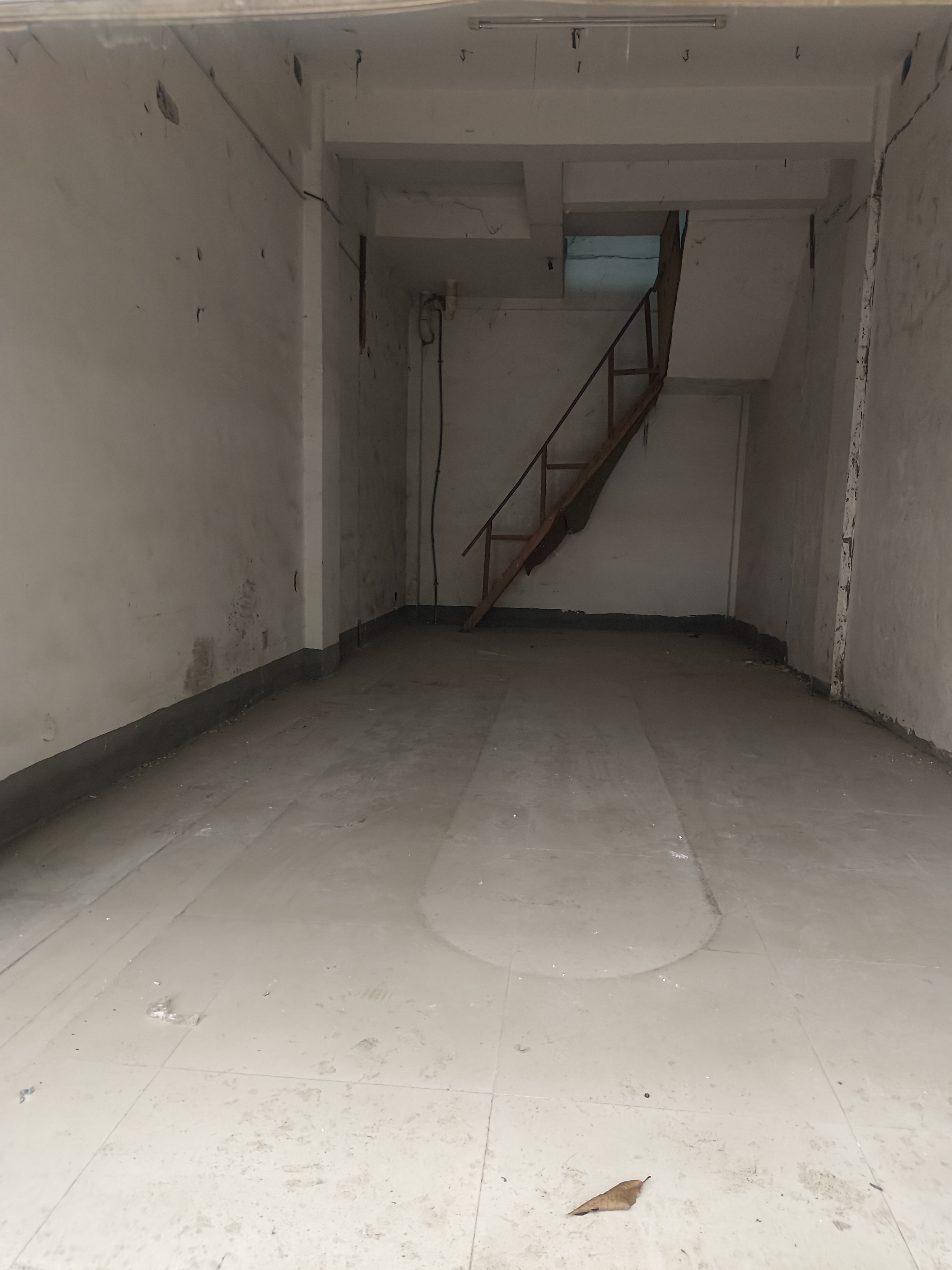 娄星区散盘   50.0㎡      2000.0元/月室内图