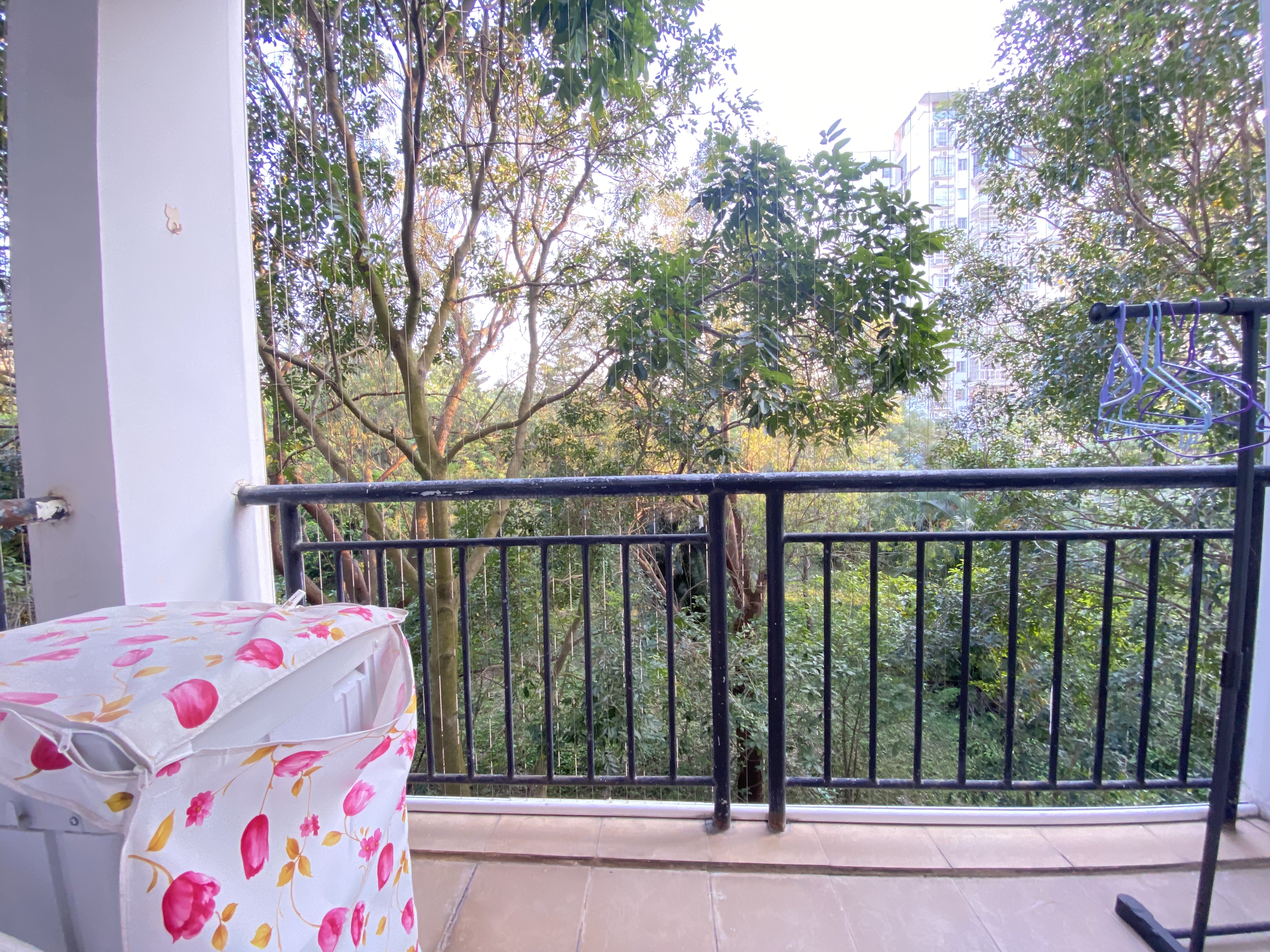 湖畔人家  1室1厅1卫    2100.0元/月室内图