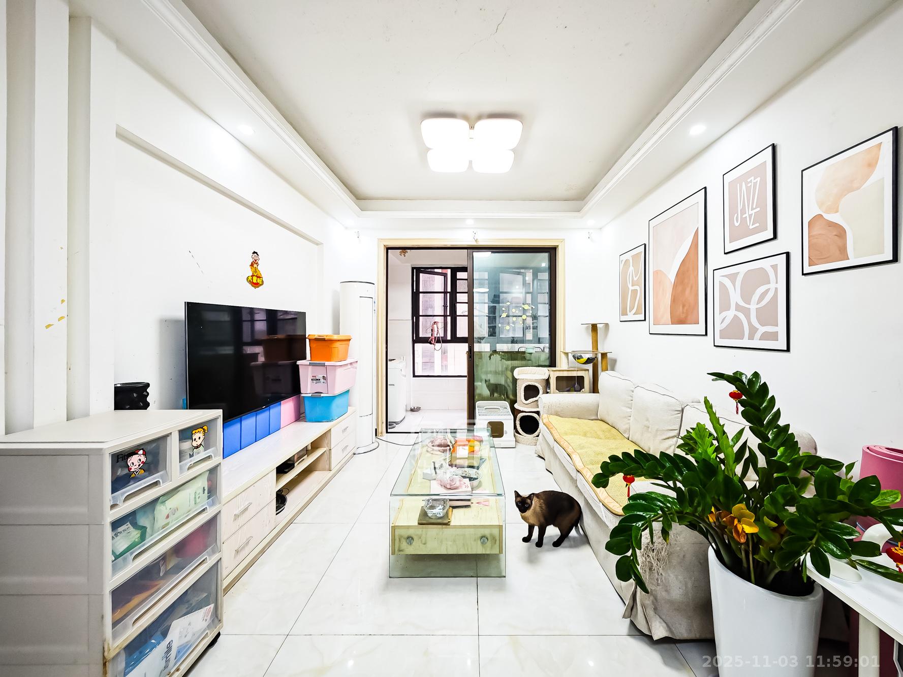 山语城三期  2室1厅1卫    56.0万