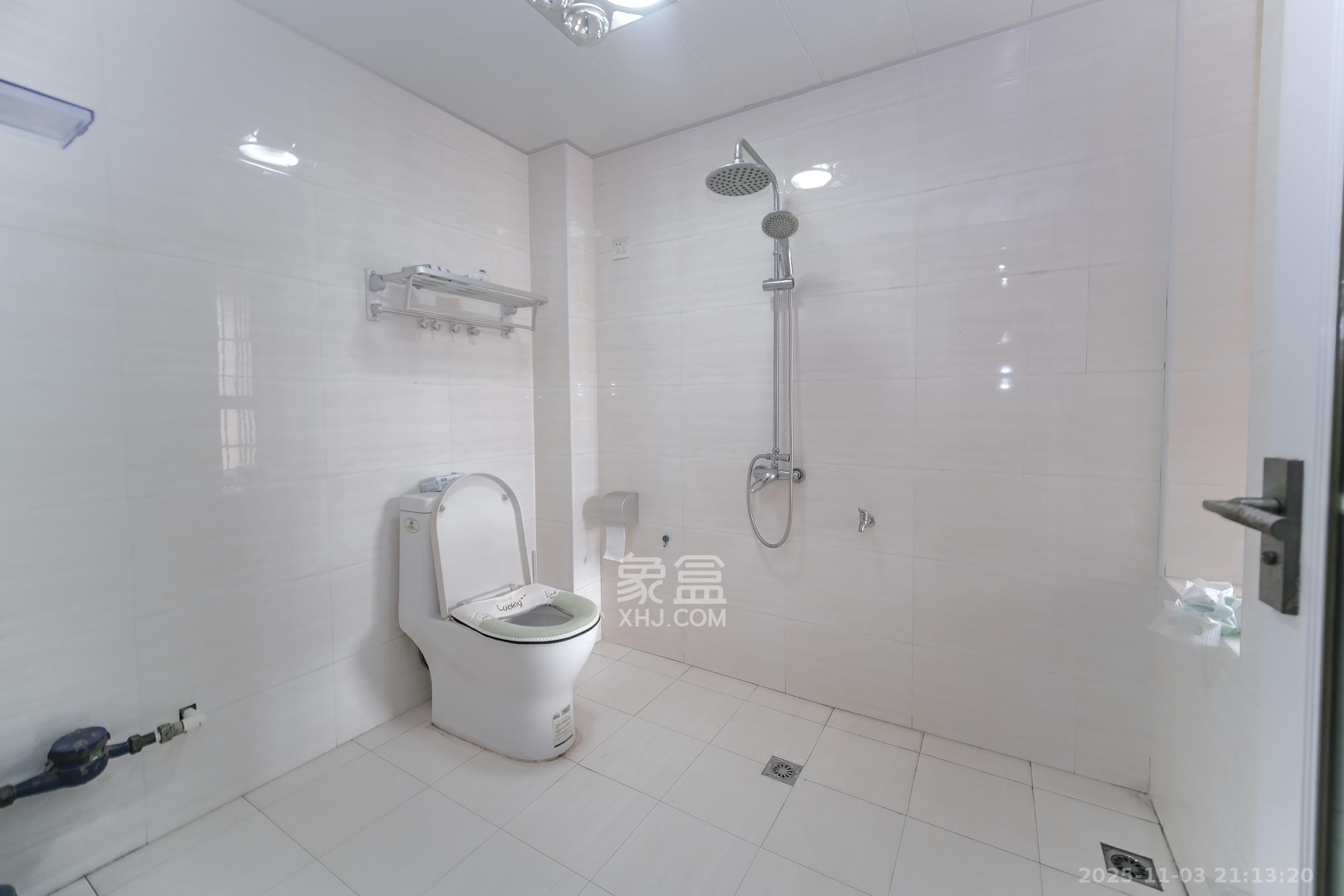 长丰星城  4室2厅2卫    89.0万卫生间