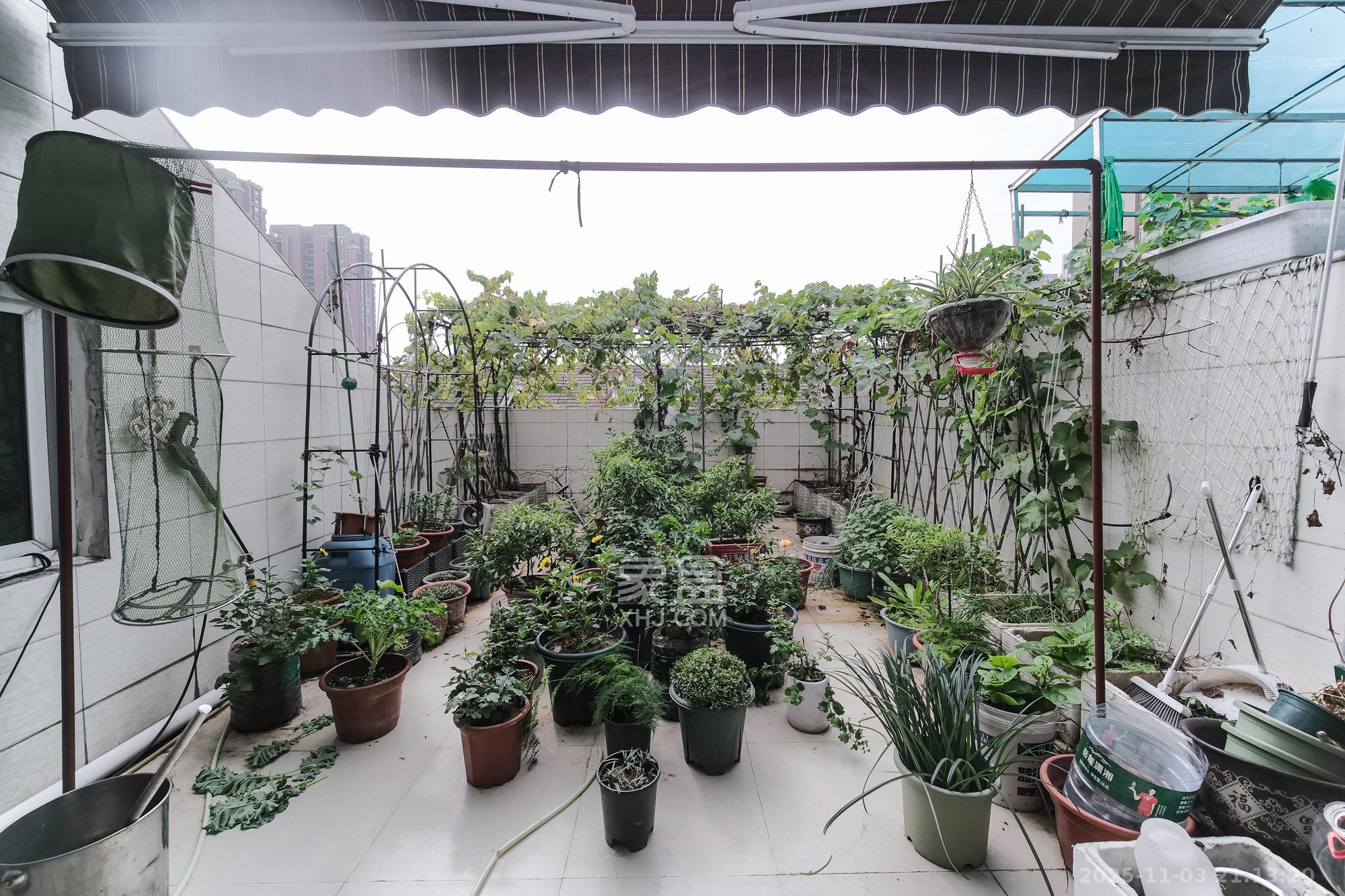 长丰星城  4室2厅2卫    89.0万其他