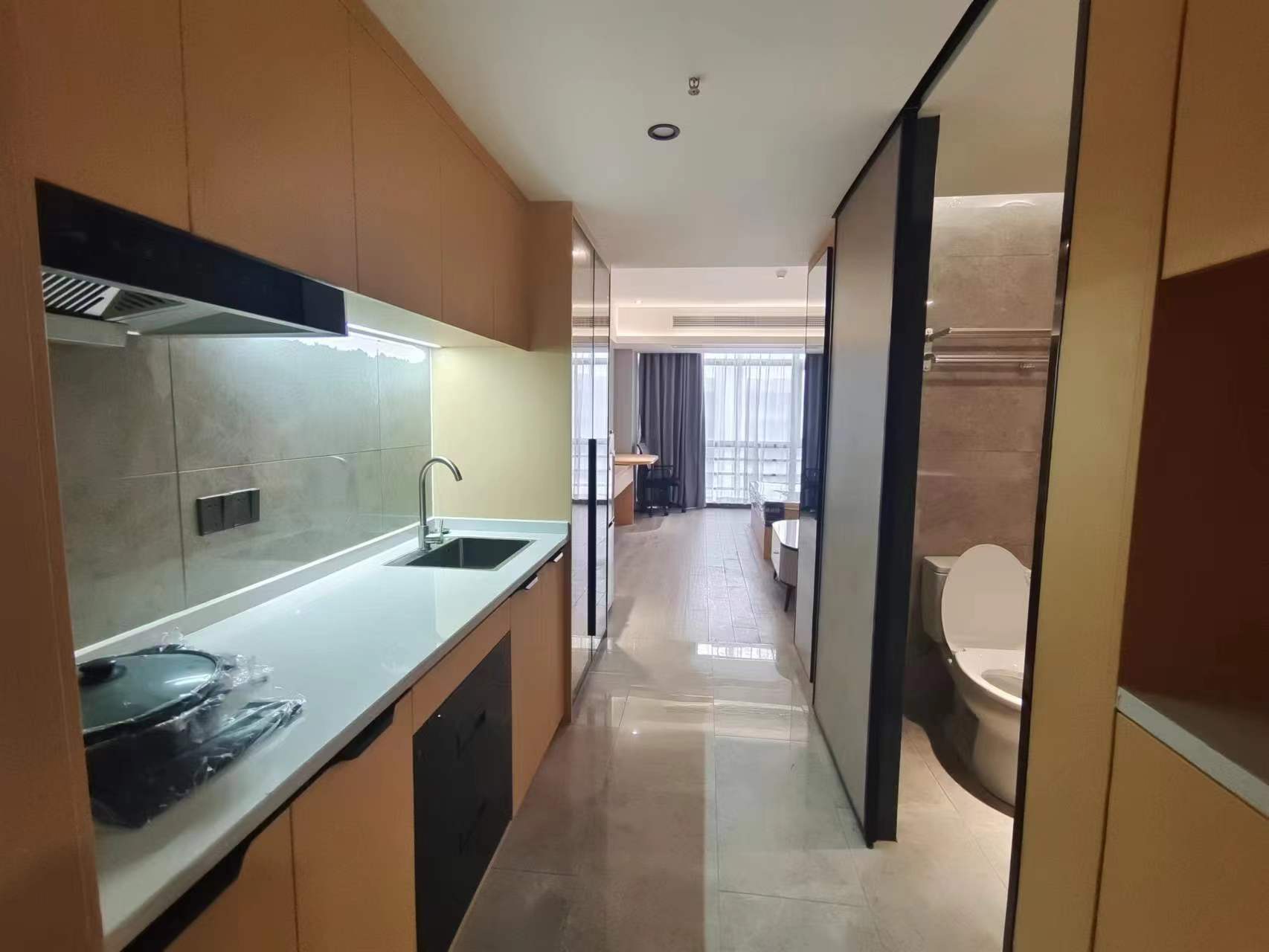 中国城星悦居  1室1厅1卫    2100.0元/月室内图