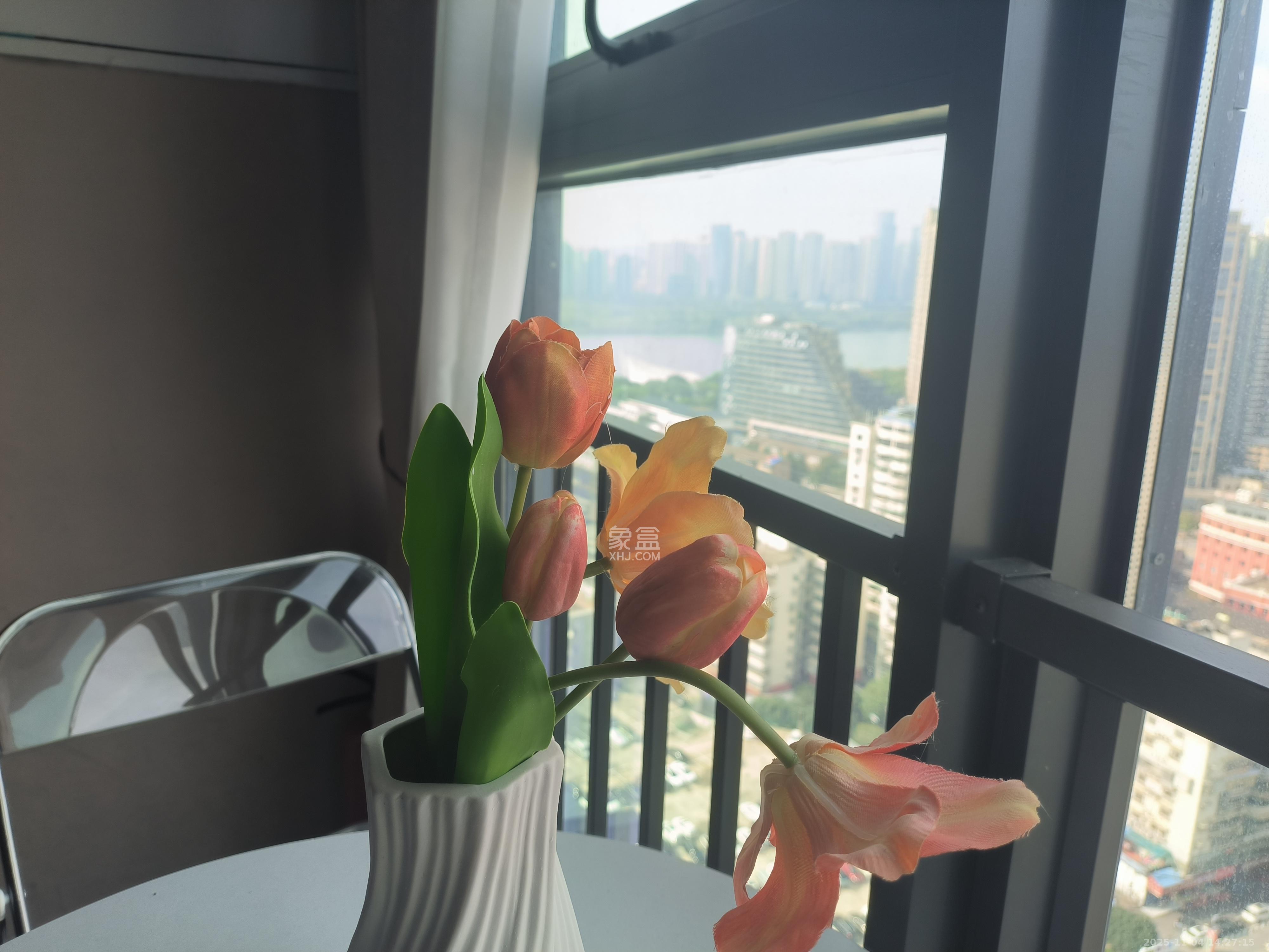 华润置地中心  1室1厅1卫    2100.0元/月室内图1