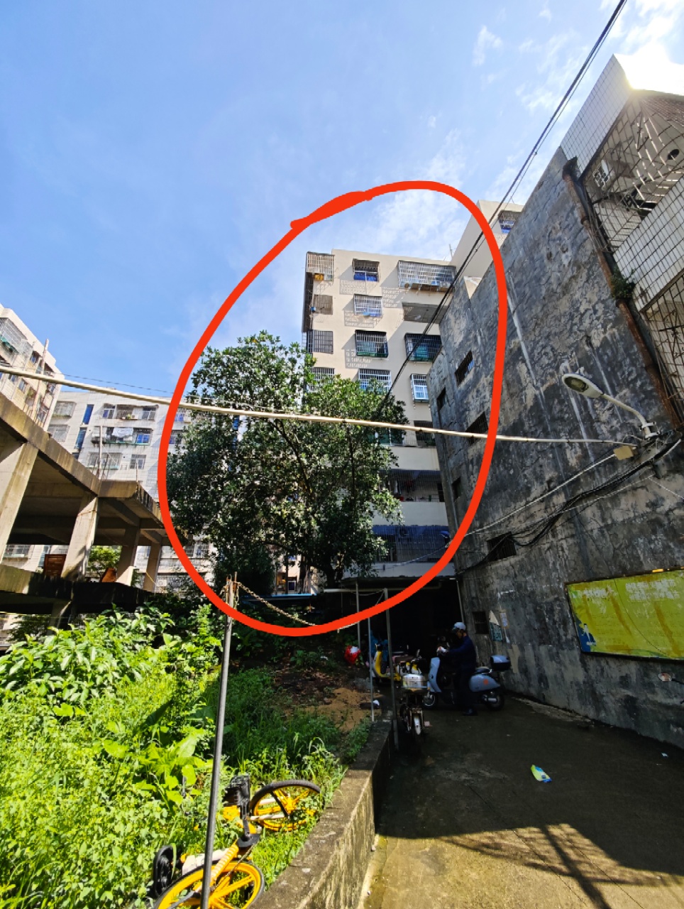 吉祥楼 3室1厅1卫 69.8万 吉祥楼 3室1厅1卫 69.8万室内图