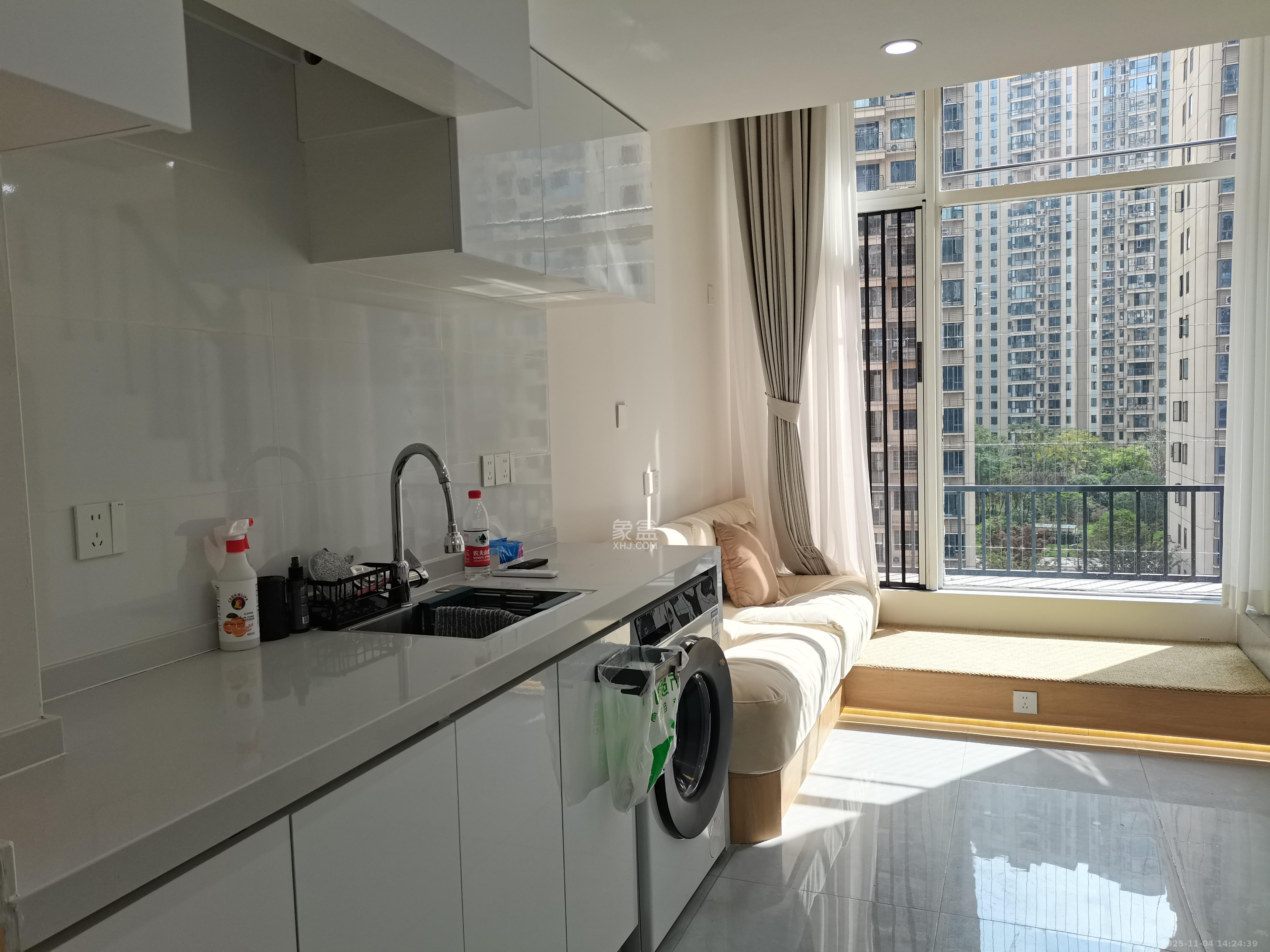 力高凤凰新天  1室1厅1卫    2100.0元/月