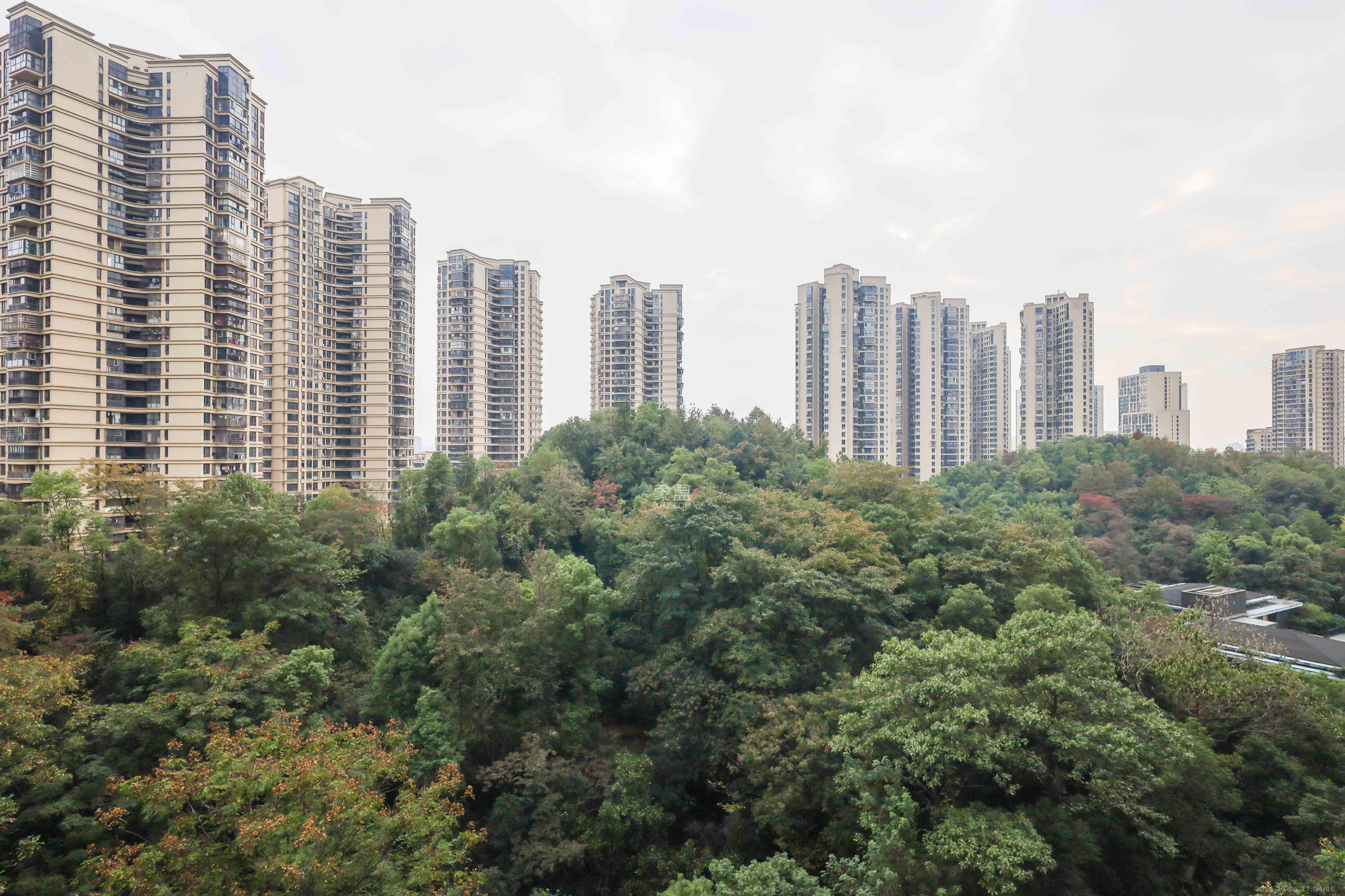 保利麓谷林语E区  4室2厅1卫    95.0万阳台