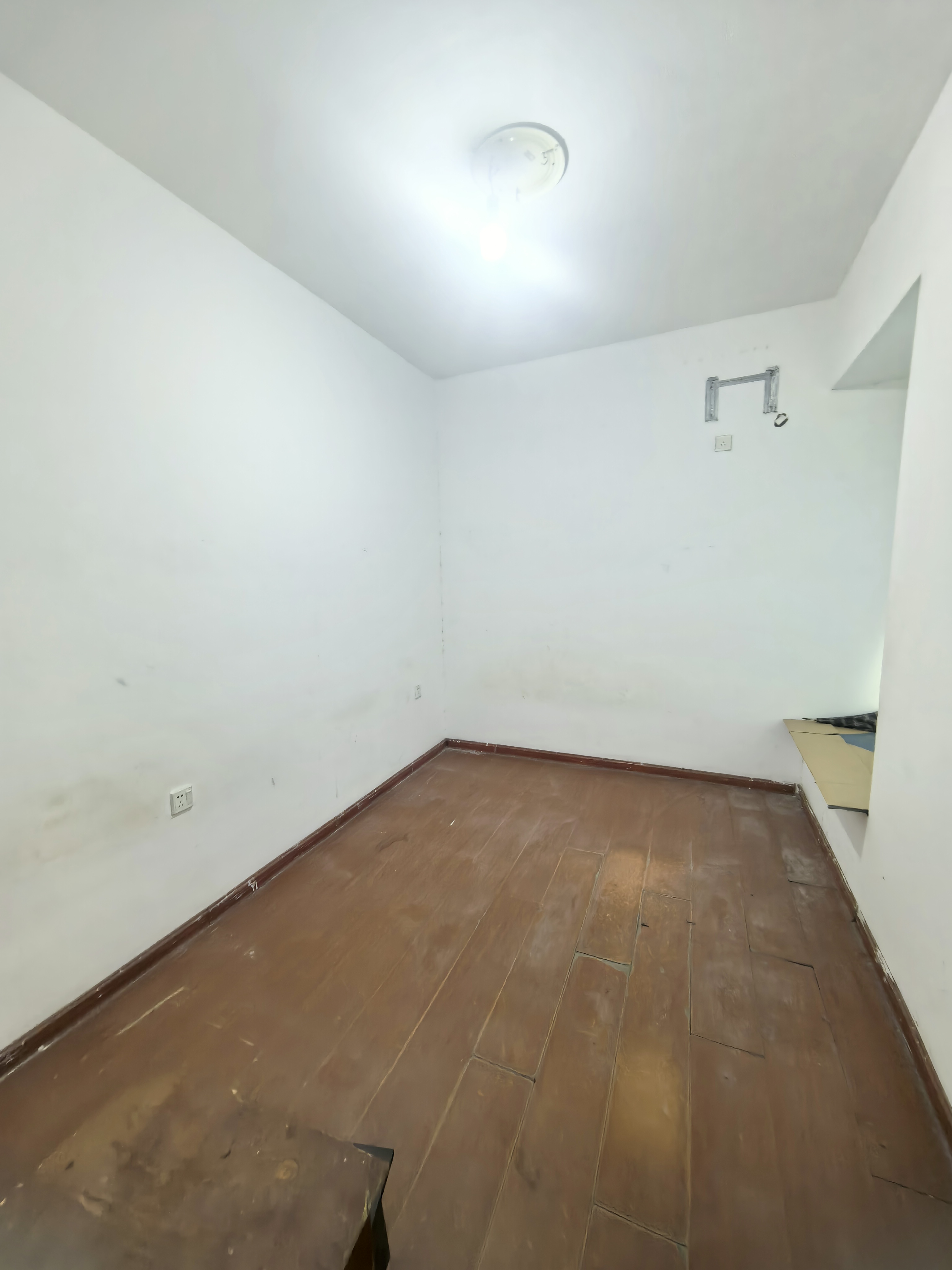 洋洲丽园 1室1厅1卫 1100.0元/月 洋洲丽园 1室1厅1卫 1100.0元/月室内图