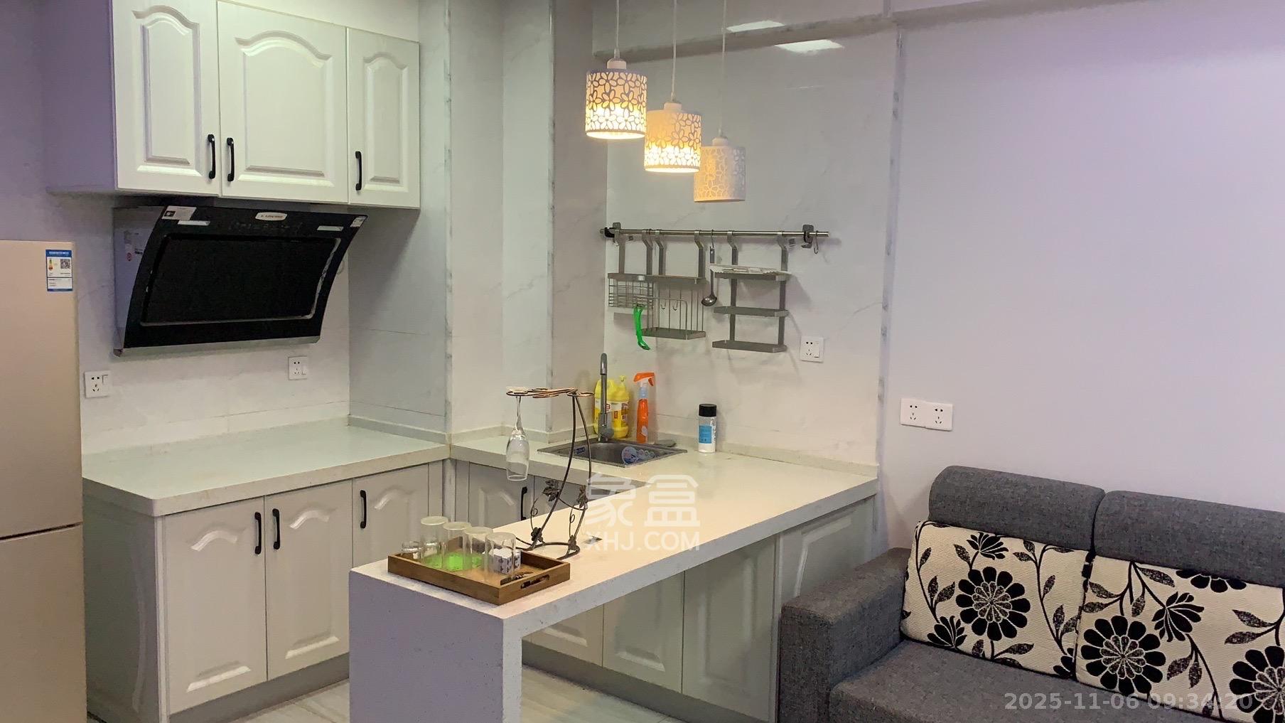 中建芙蓉嘉苑  1室1厅1卫    1400.0元/月室内图