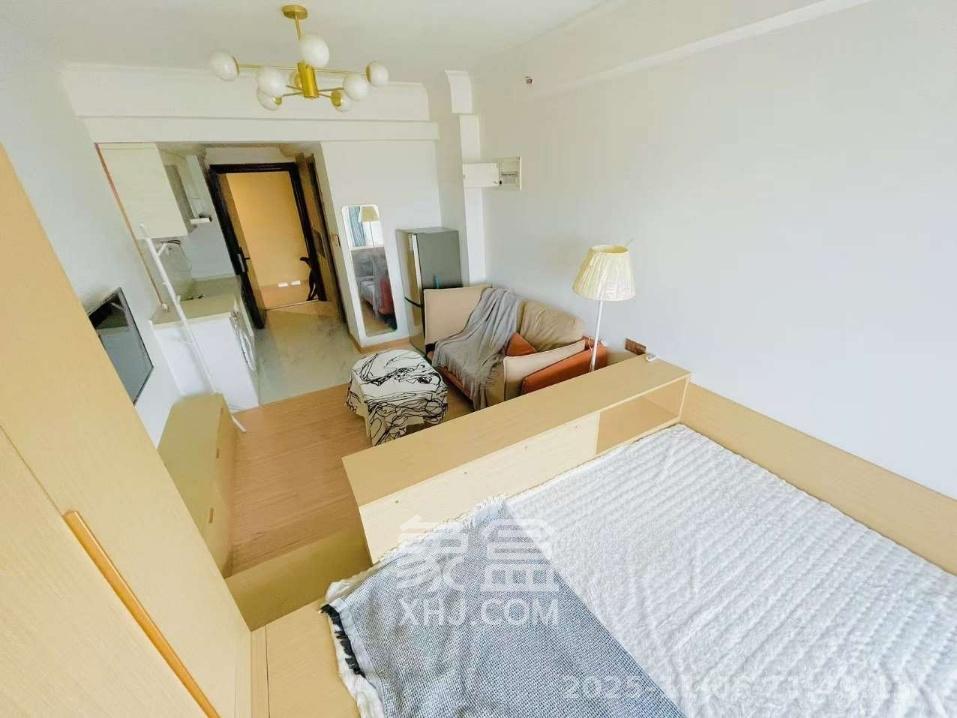 碧桂园城市之光   34.0㎡      1650.0元/月