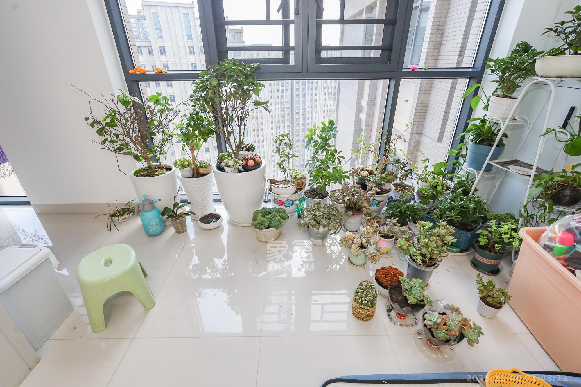 八方小区C区 4室2厅2卫 520.0万 八方小区C区 4室2厅2卫 520.0万阳台