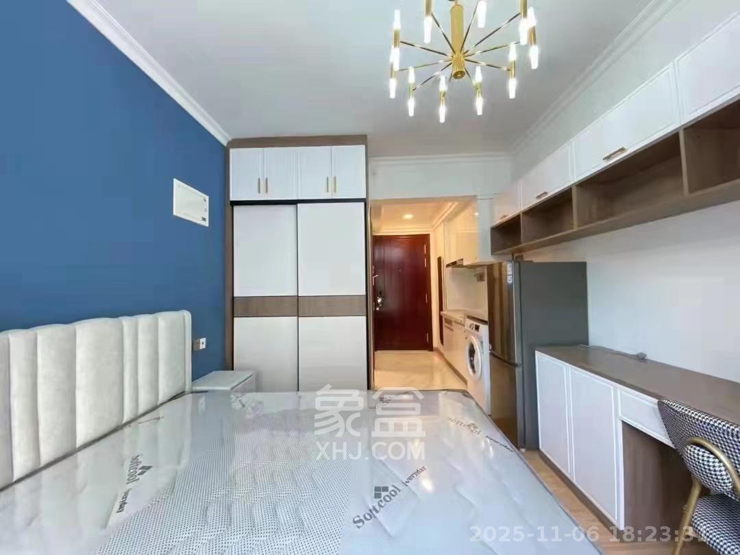 碧桂园城市之光  1室1厅1卫    1300.0元/月