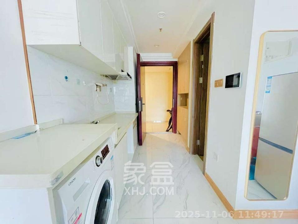 碧桂园城市之光   34.0㎡      1650.0元/月室内图