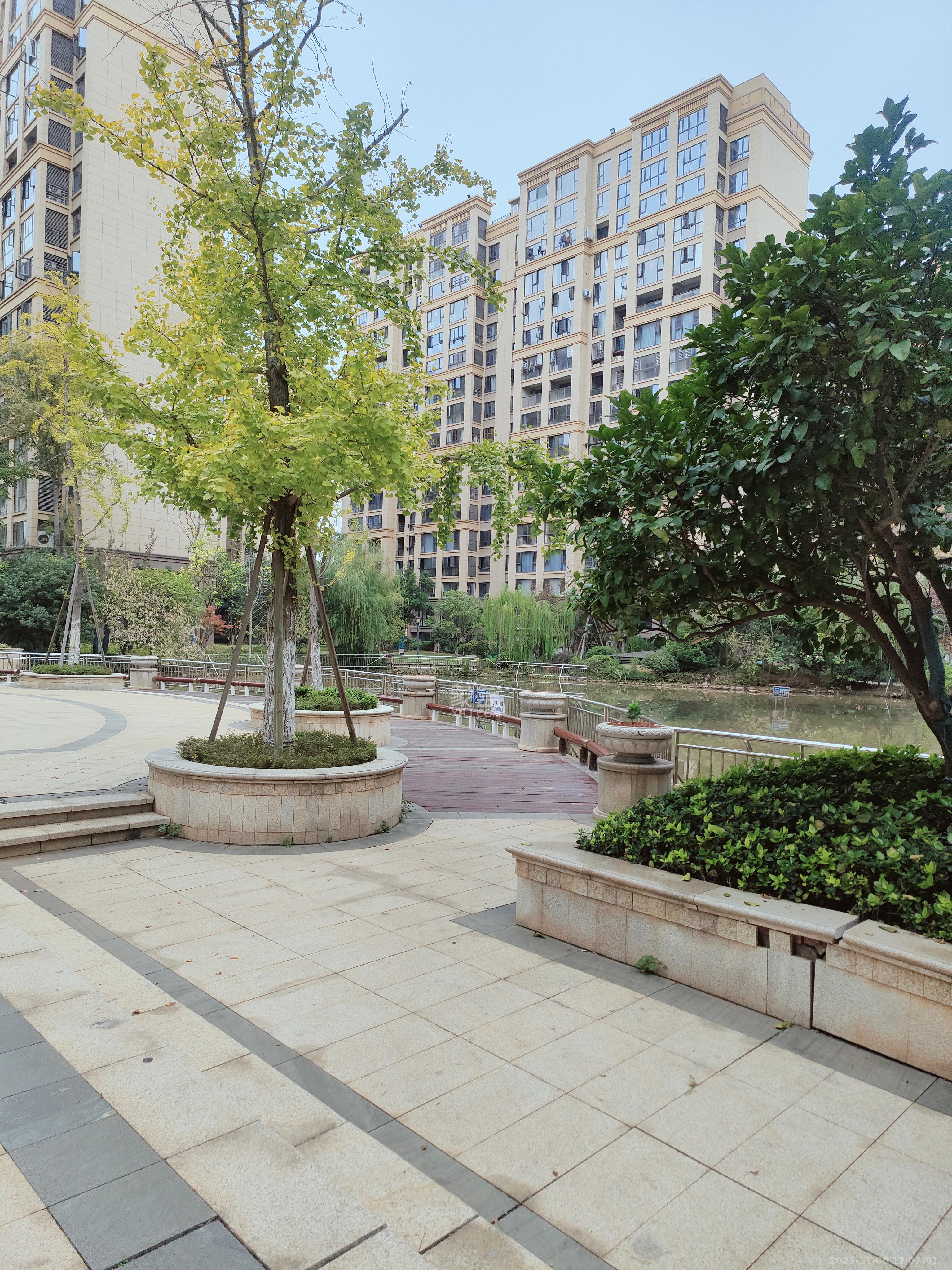 鑫远悦城（鑫远悦时代）  1室1厅1卫    850.0元/月