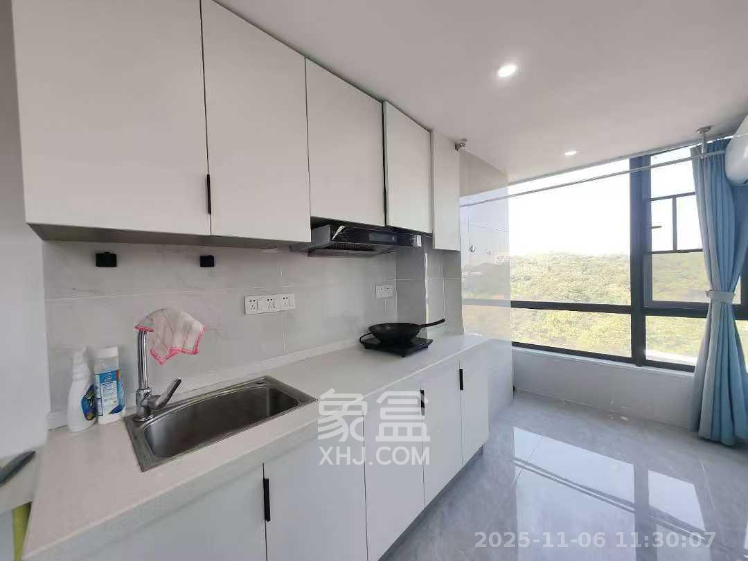 天麓轻奢国际  2室1厅1卫    1650.0元/月室内图