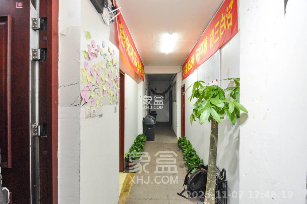 中海梅溪湖壹号  4室2厅3卫    4300.0元/月室内图