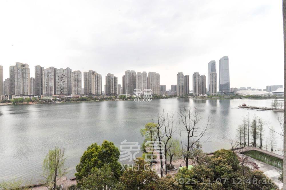 中海梅溪湖壹号  4室2厅3卫    4300.0元/月室内图