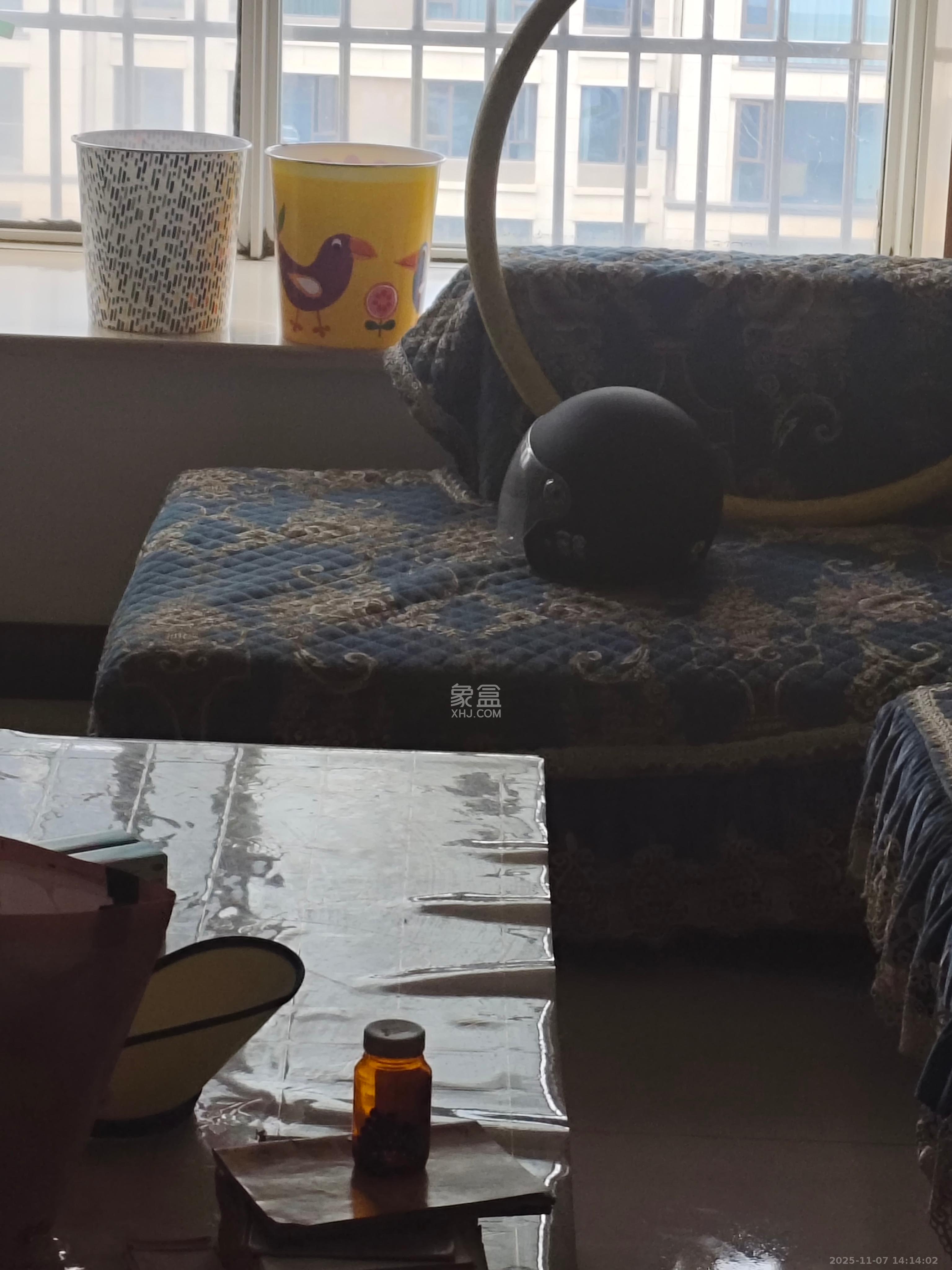 金麓西岸和苑 2室2厅1卫 1800.0元/月 金麓西岸和苑 2室2厅1卫 1800.0元/月室内图