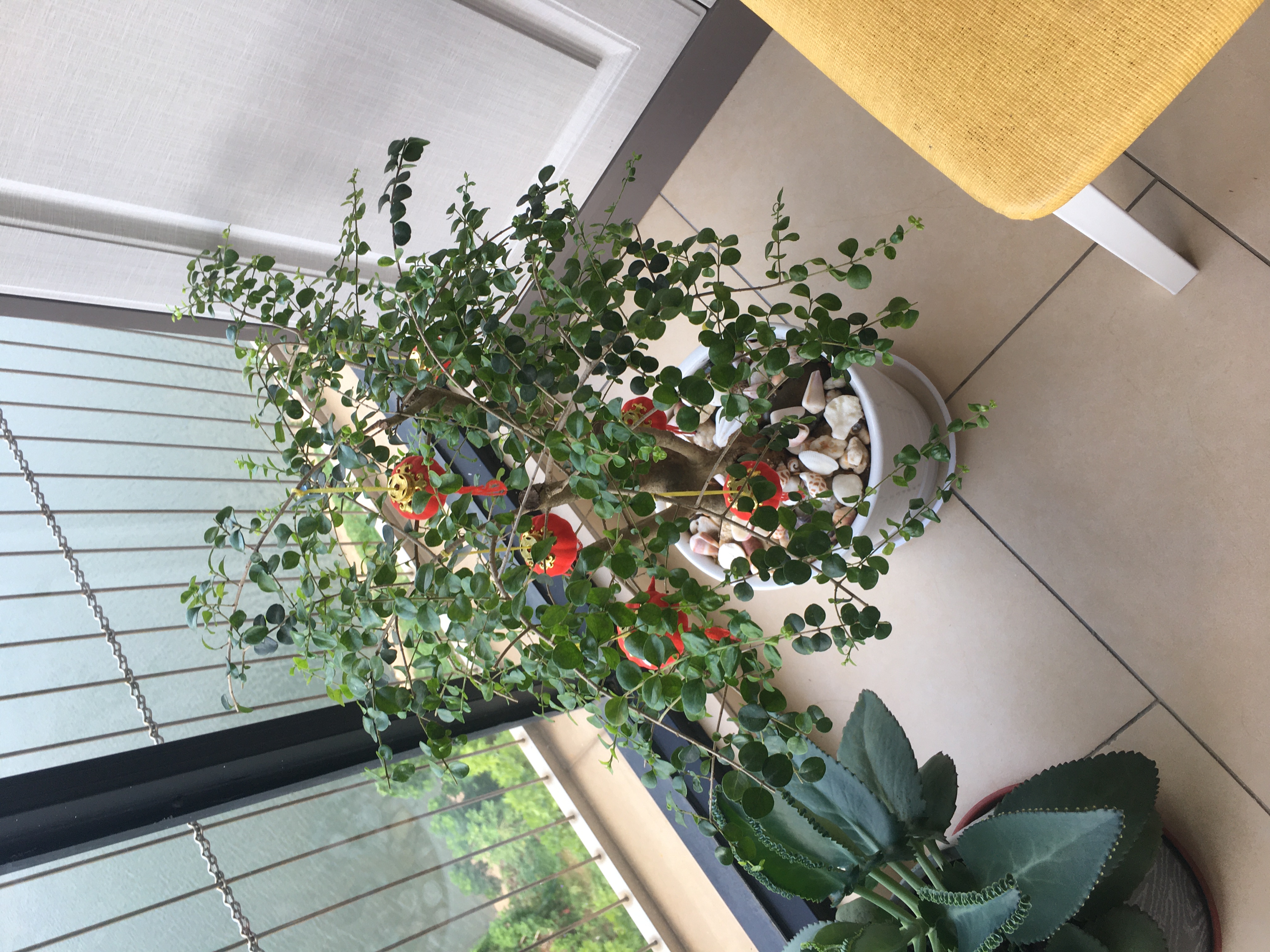 美湖美舍  2室2厅1卫    135.0万室内图