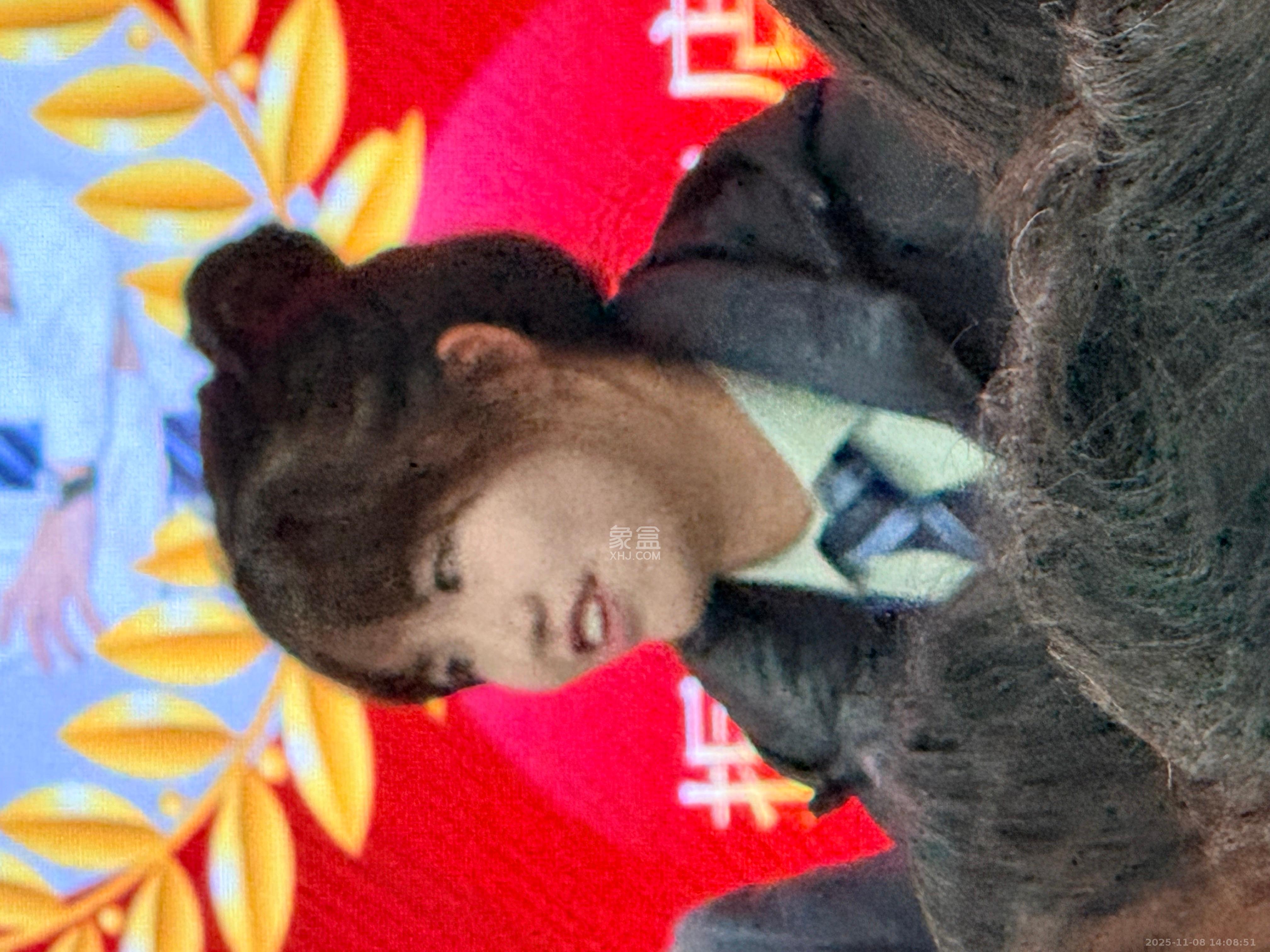 尖山安置小区（尖山社区）  1室0厅0卫    700.0元/月室内图