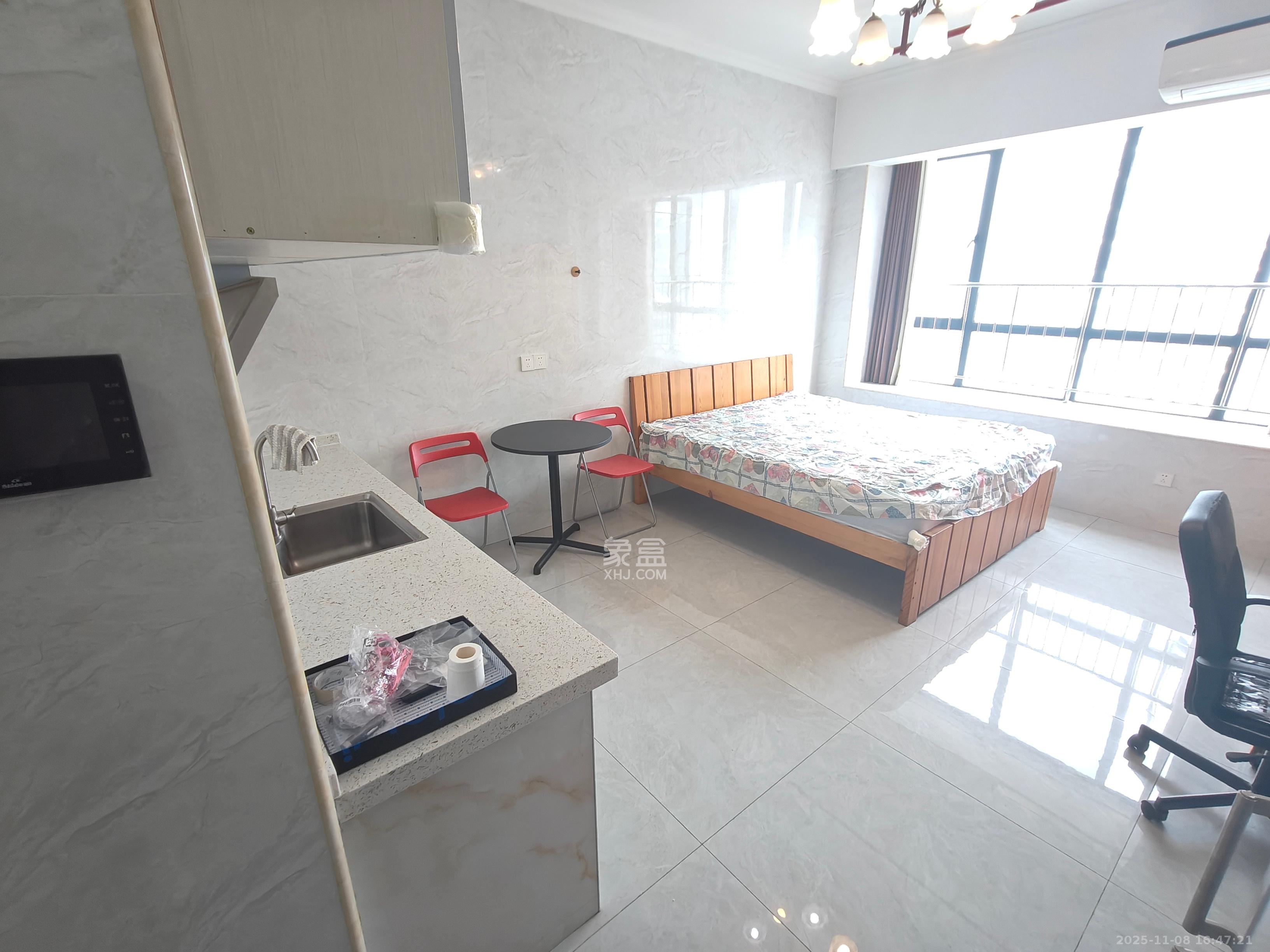 洋湖时代  1室1厅1卫    1100.0元/月室内图